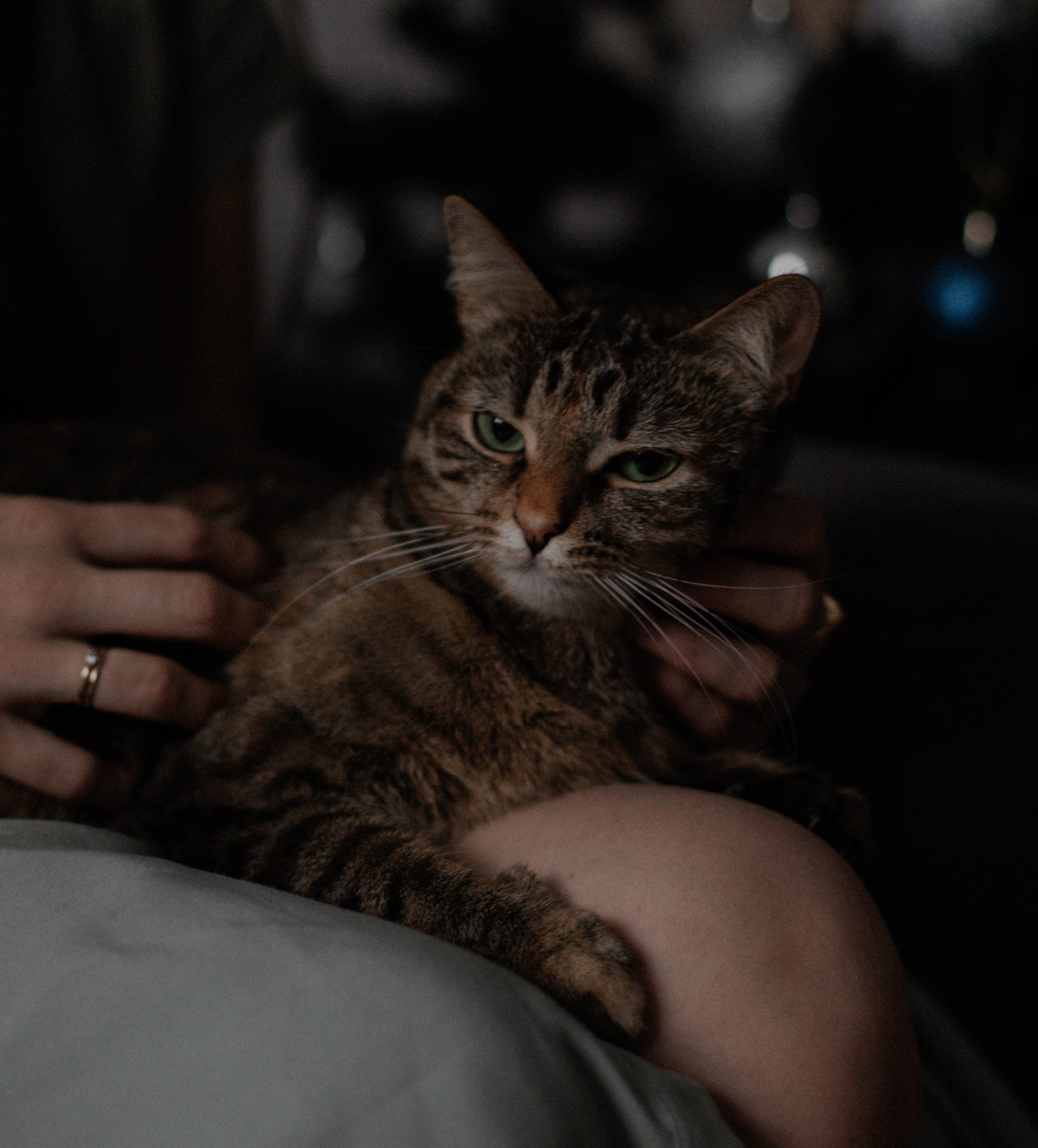 Люда и Паша. Фотограф в Санкт-Петербурге Дарья Заплитная