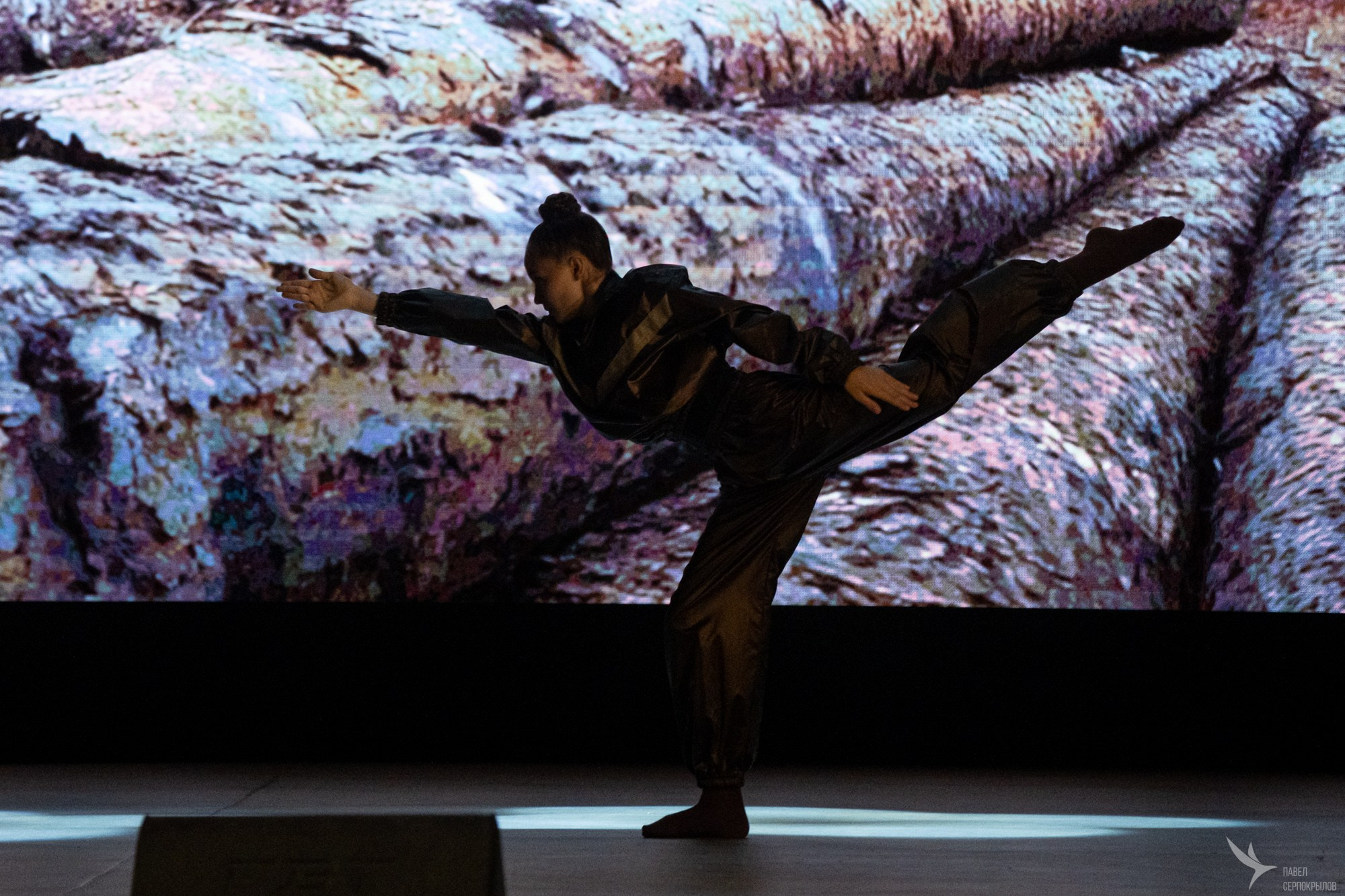 Сольный концерт хореографического ансамбля Аллегро «Сквозь тернии к звездам». Репортажный фотограф в Казани Павел Серпокрылов