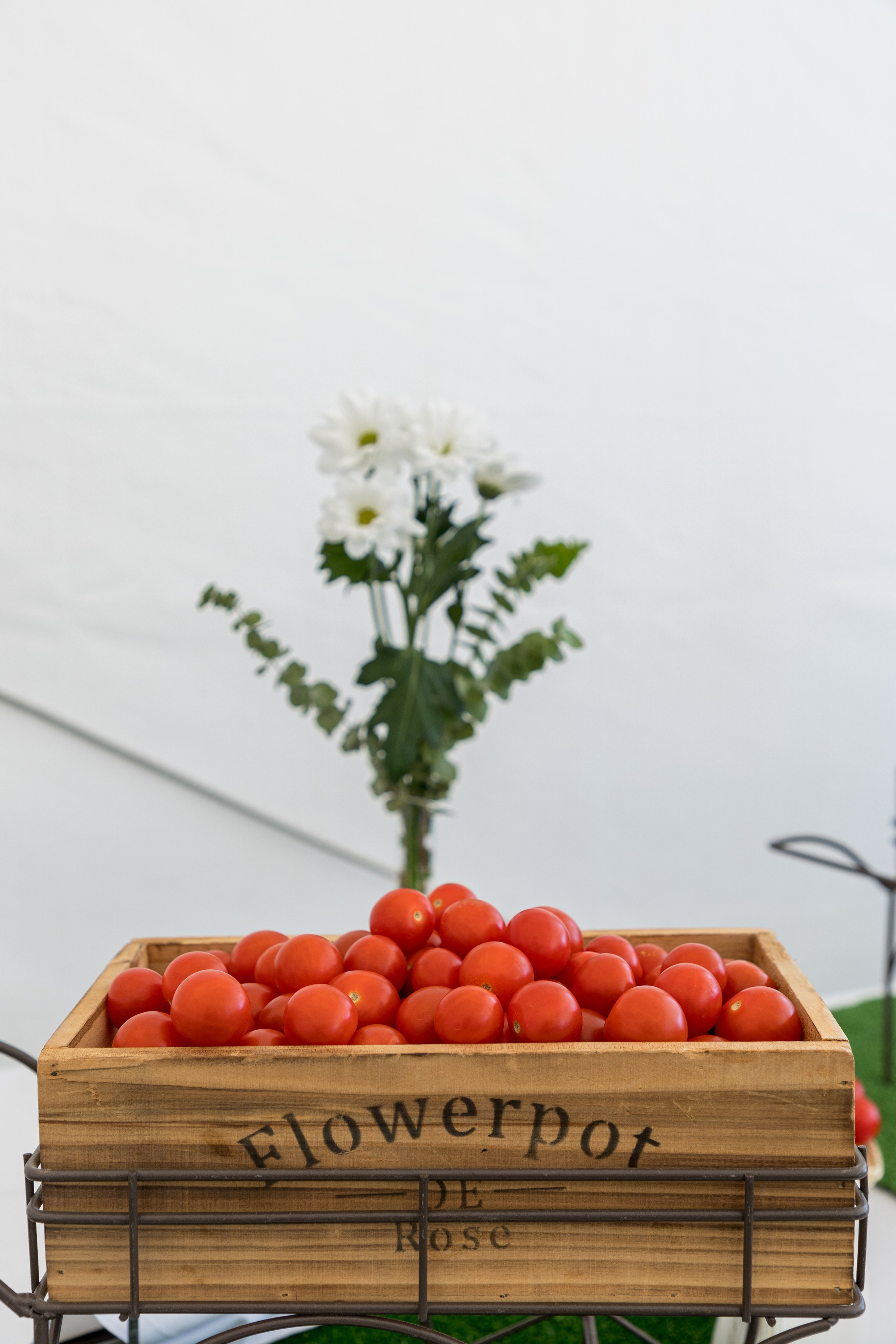 Воронеж Агро-Первый камень. Владислав Волков | Фотография и видеосъемка в Воронеже
