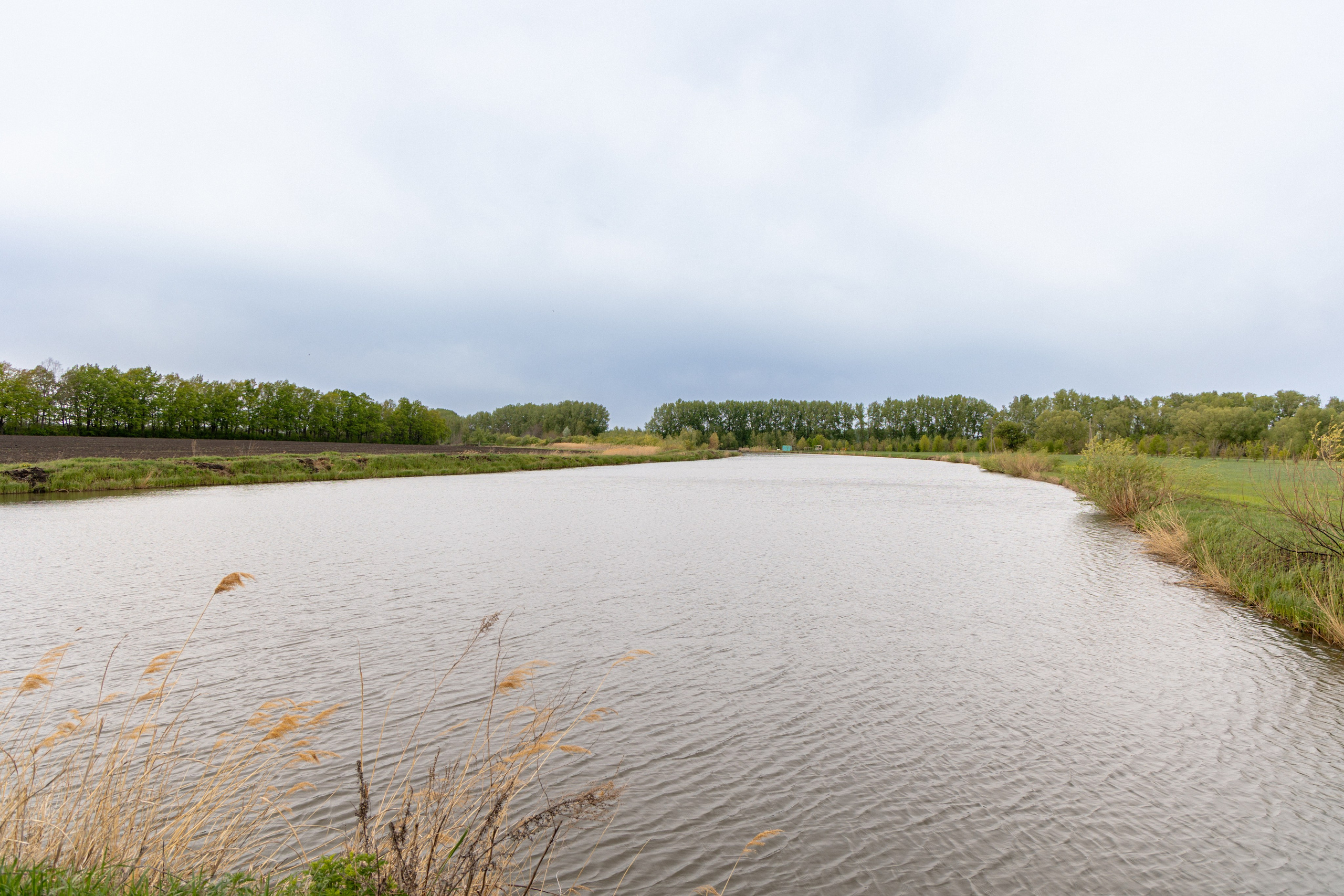 Приусадебный участок. Владислав Волков | Фотография и видеосъемка в Воронеже