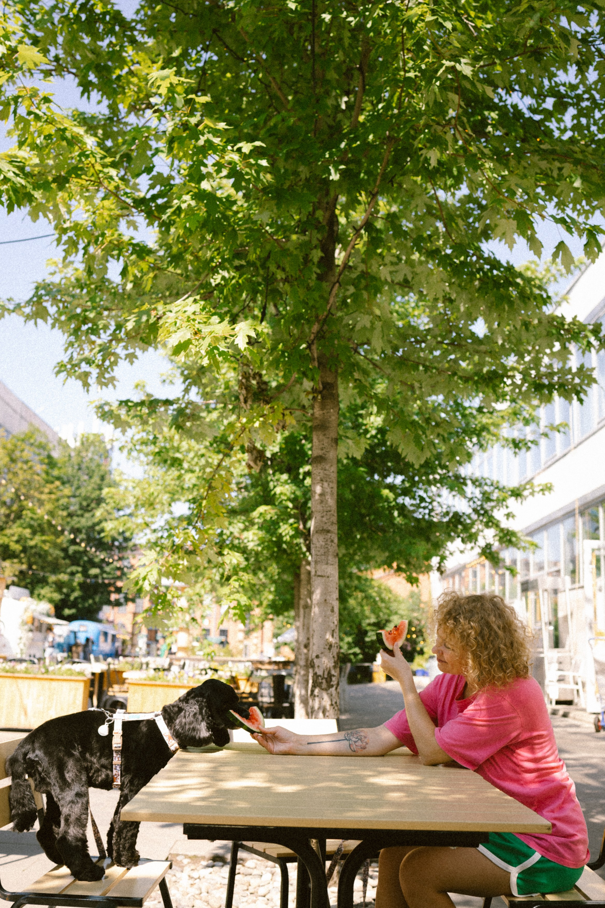 Катя и Плю. Главная