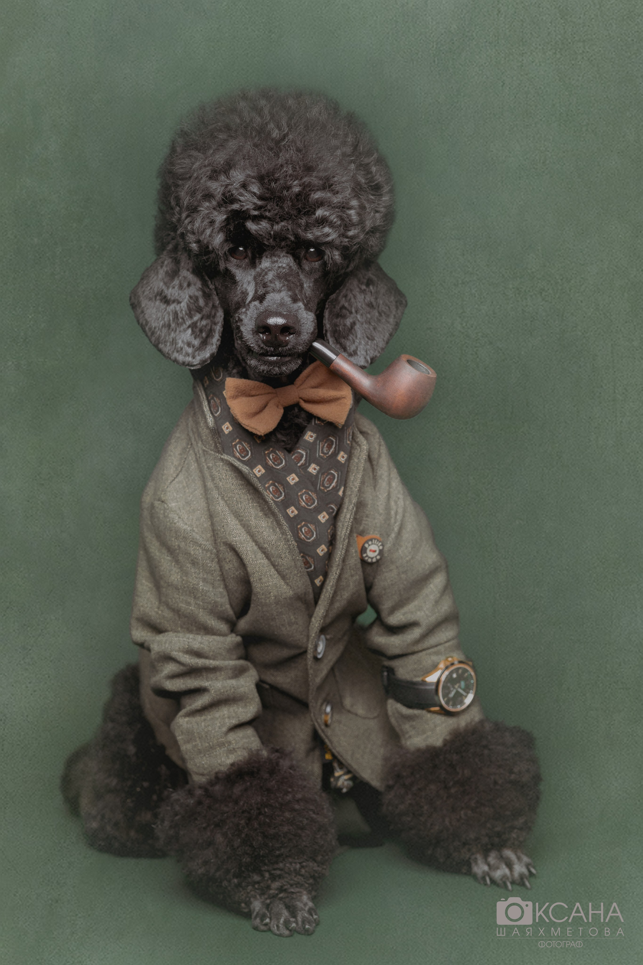 ФОТОСТУДИЯ