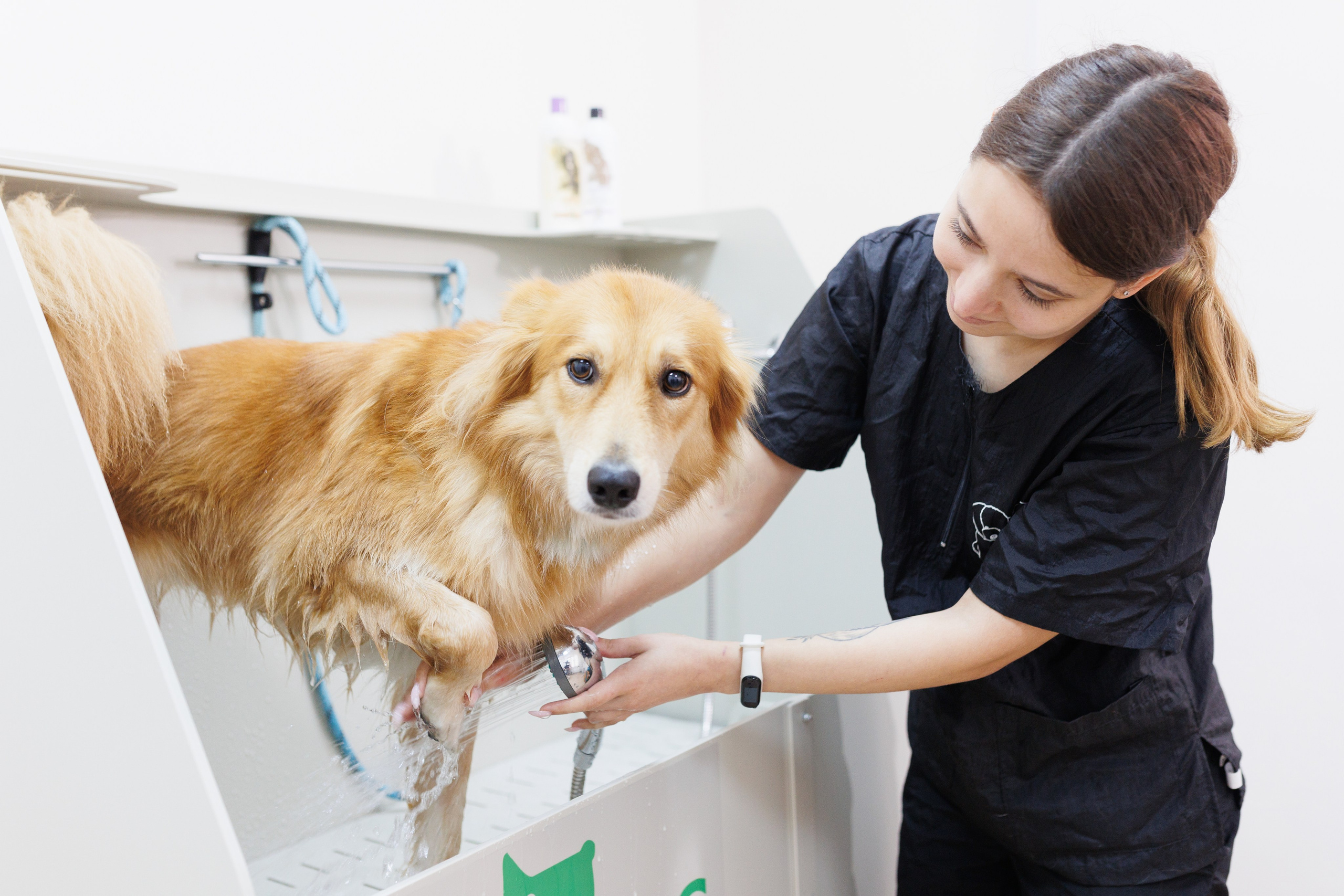 Фаунвилль. «Лаборатория Фотофей» — Виктория Балмош и Юлия Мун. Екатеринбург