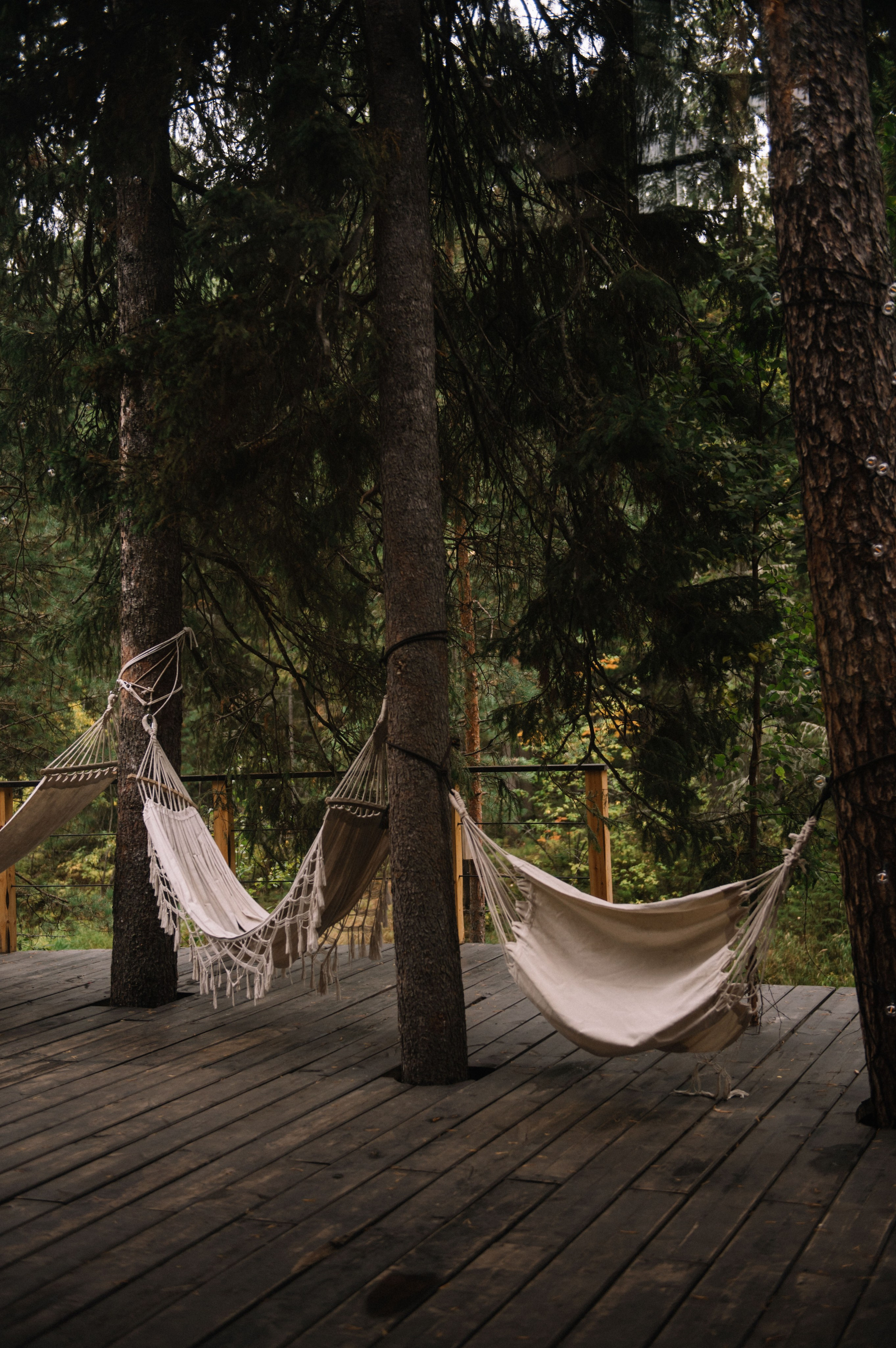 Посиделки в шалаше. Фотограф в Сургуте Светлана Гибадуллина