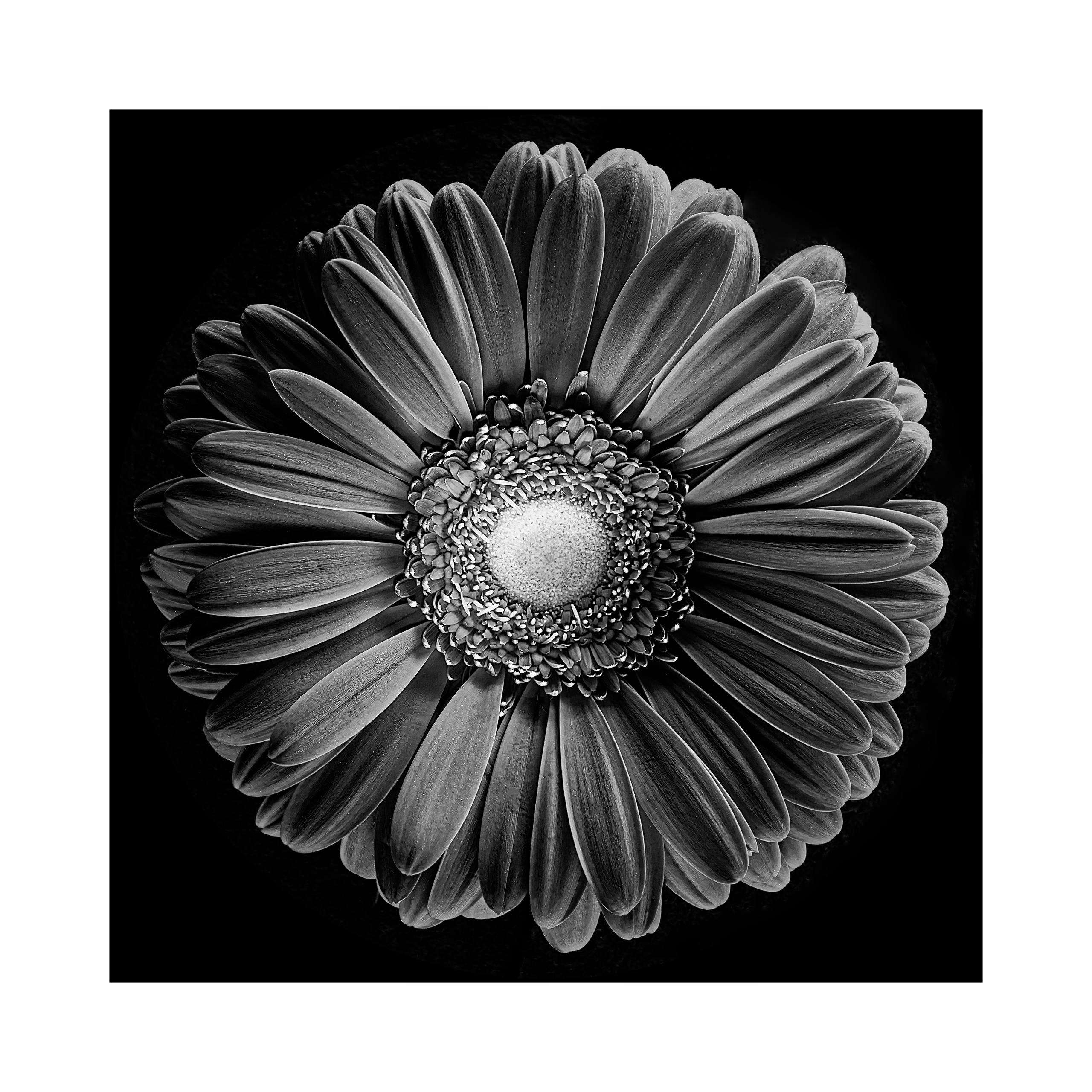 Фотопроект «Круги жизни». Портретный фотограф в Челябинске Катерина Руди