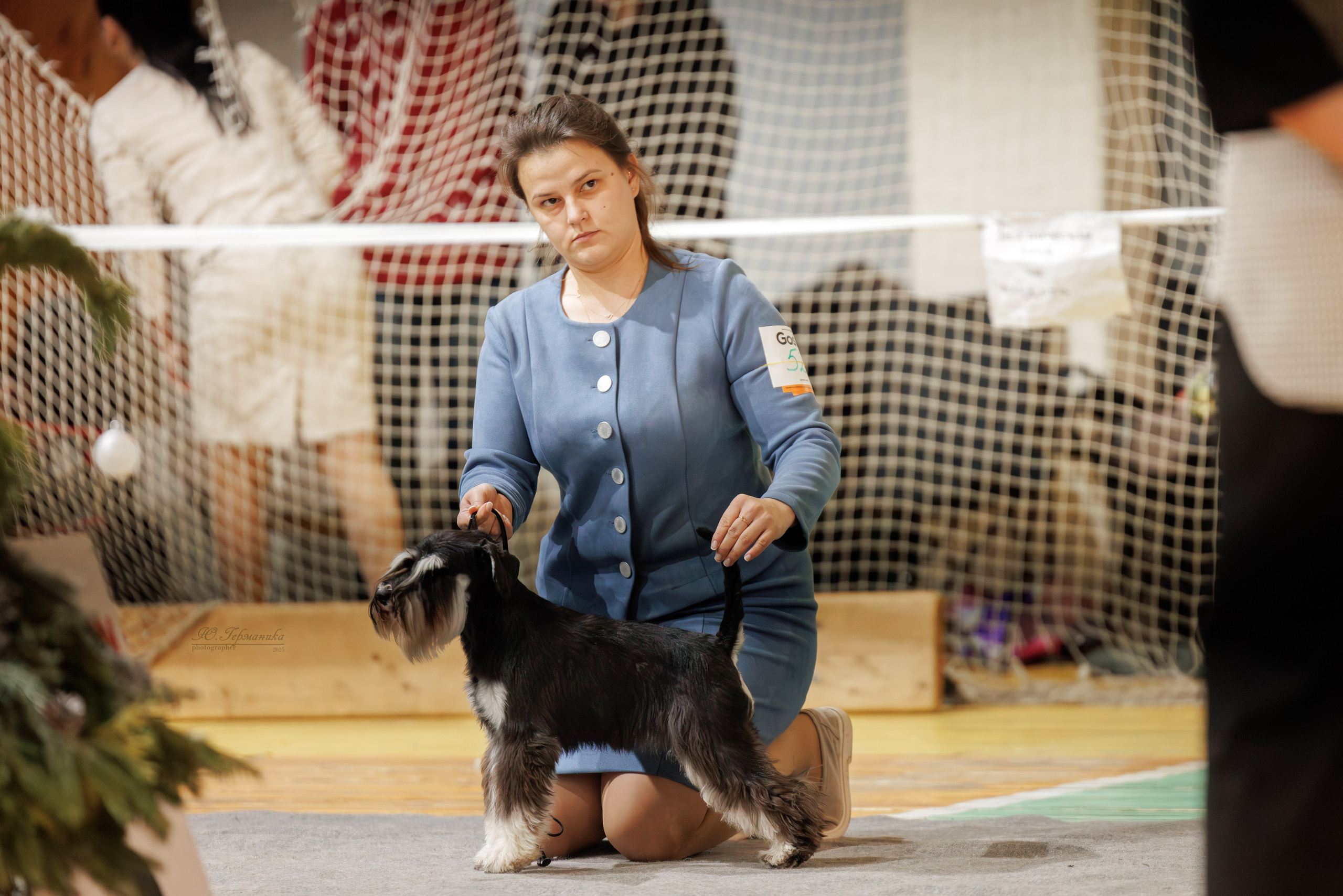 Тверь 21.12.2025. Фотограф-анималист Юлия Германика