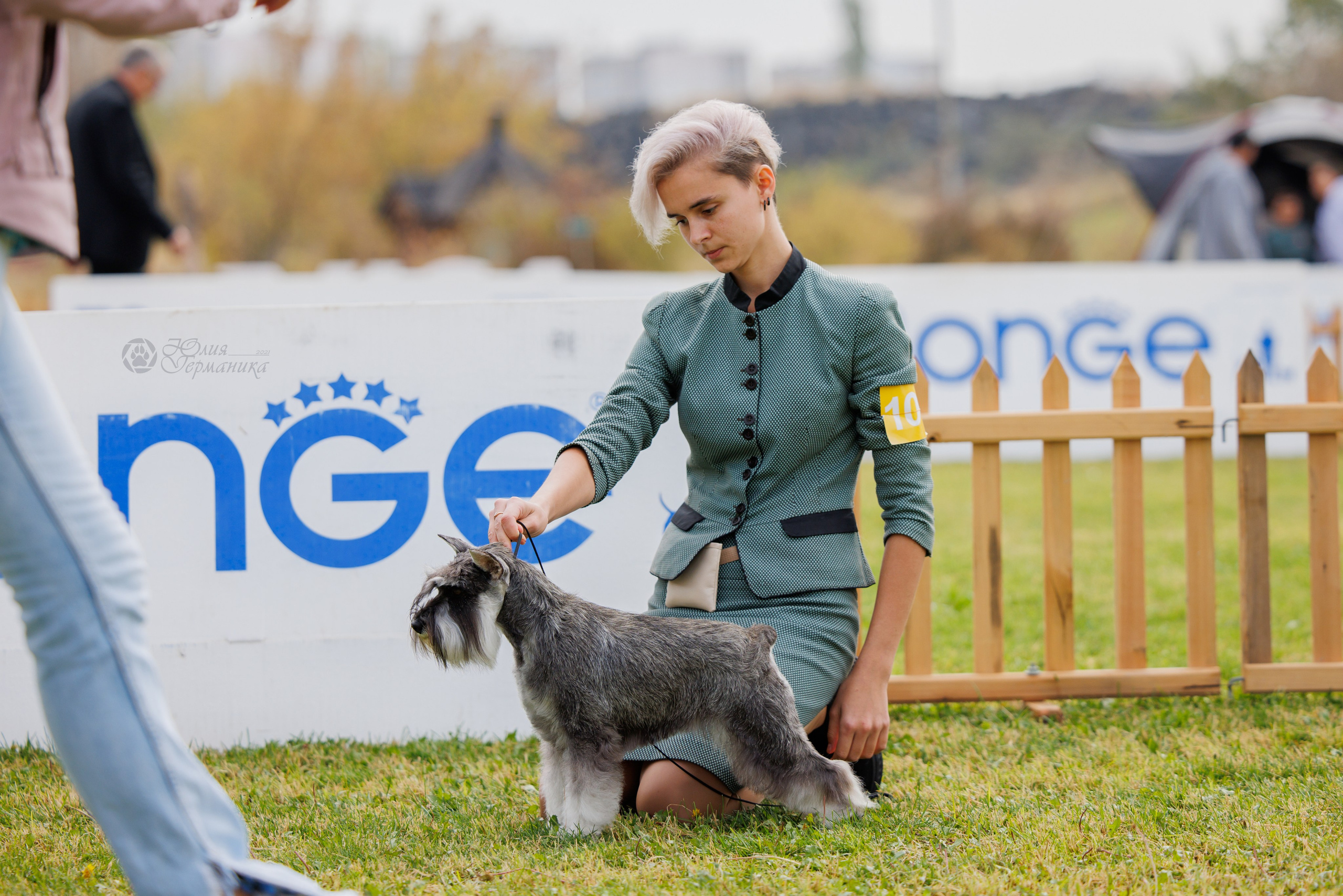 Армения,Ереван 3хCACIB 15-17.10.2024. Фотограф-анималист Юлия Германика