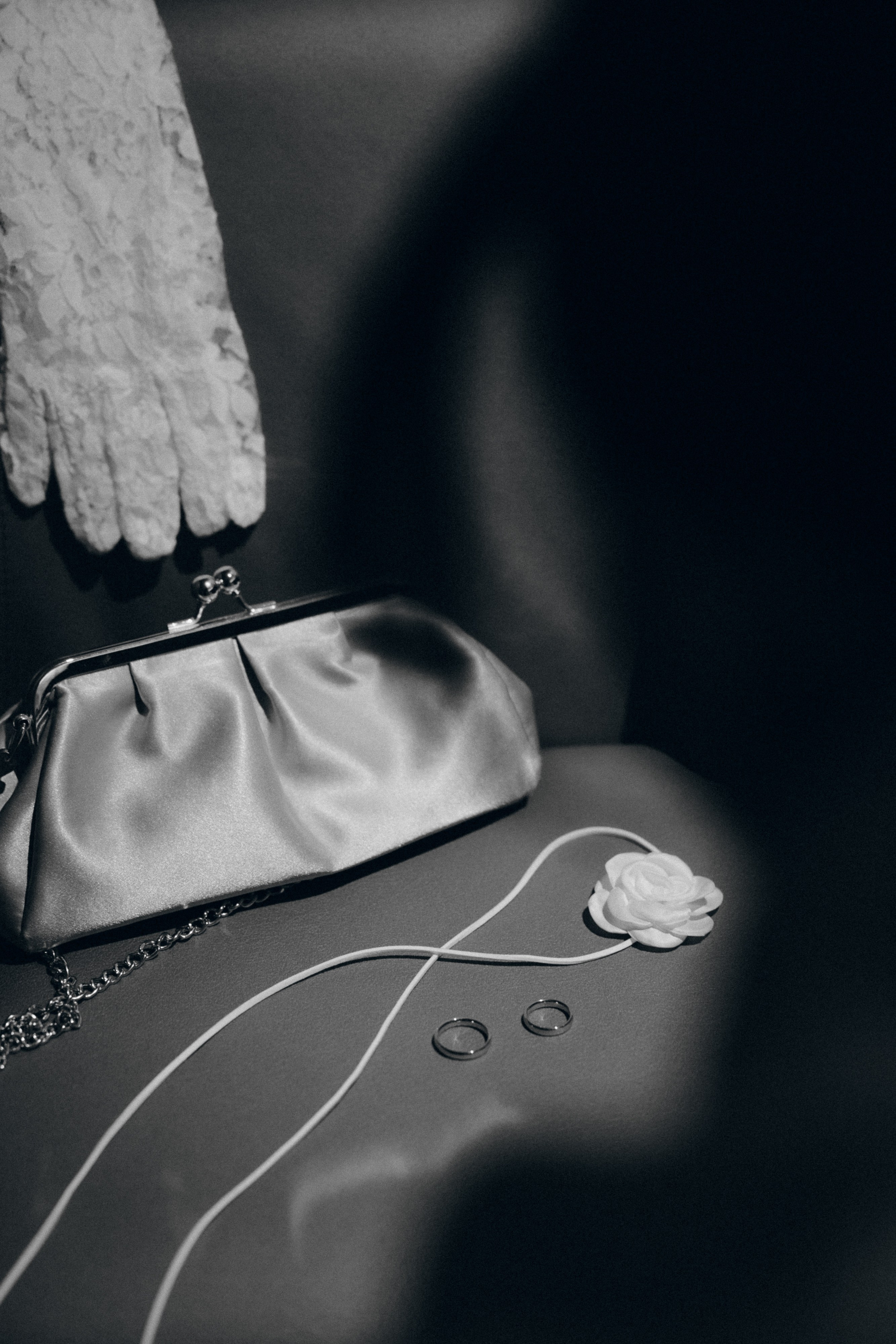 Софья и Владимир