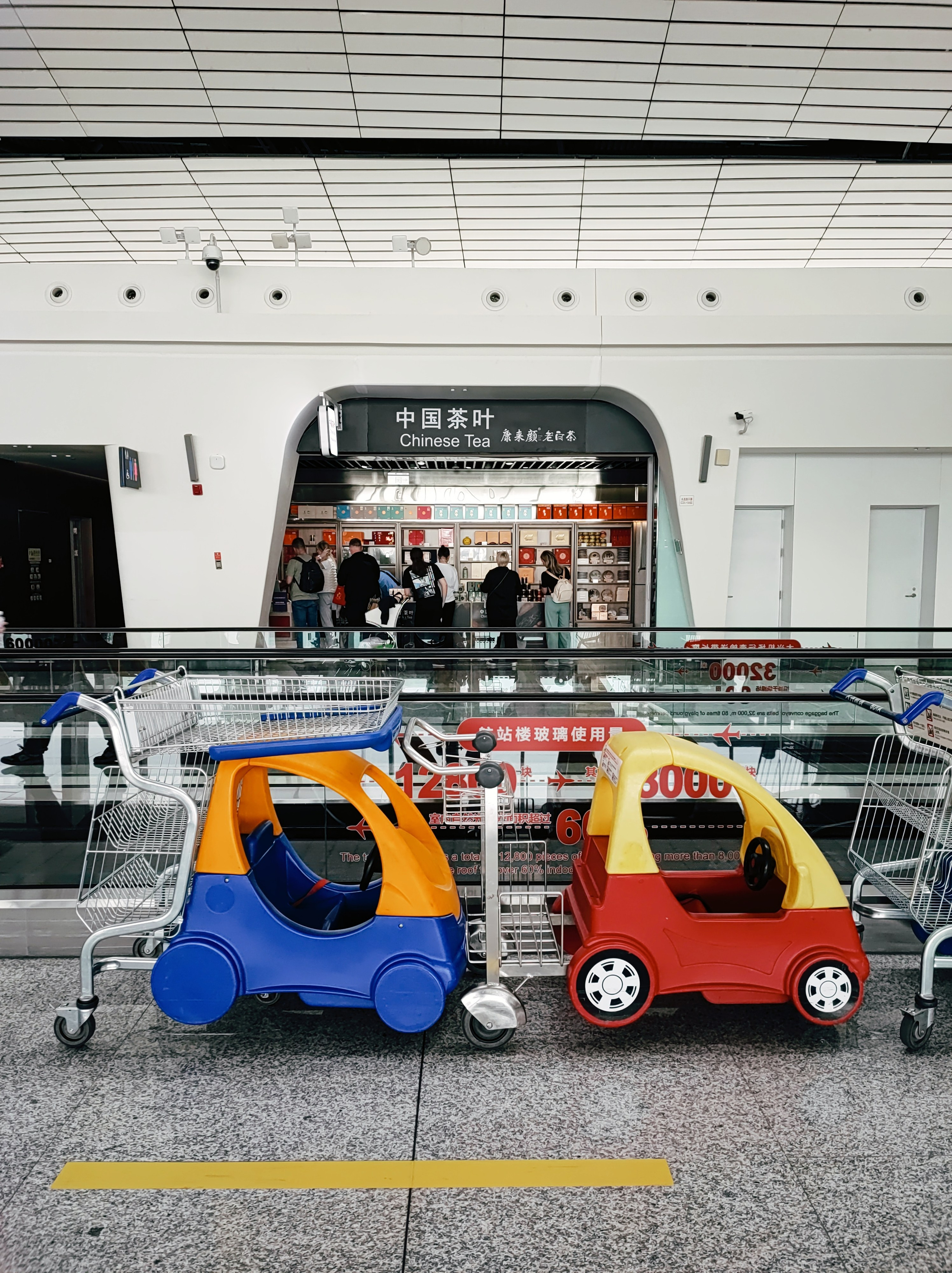 Намобилкус китайский. Репортажный фотограф Алексей Пирязев