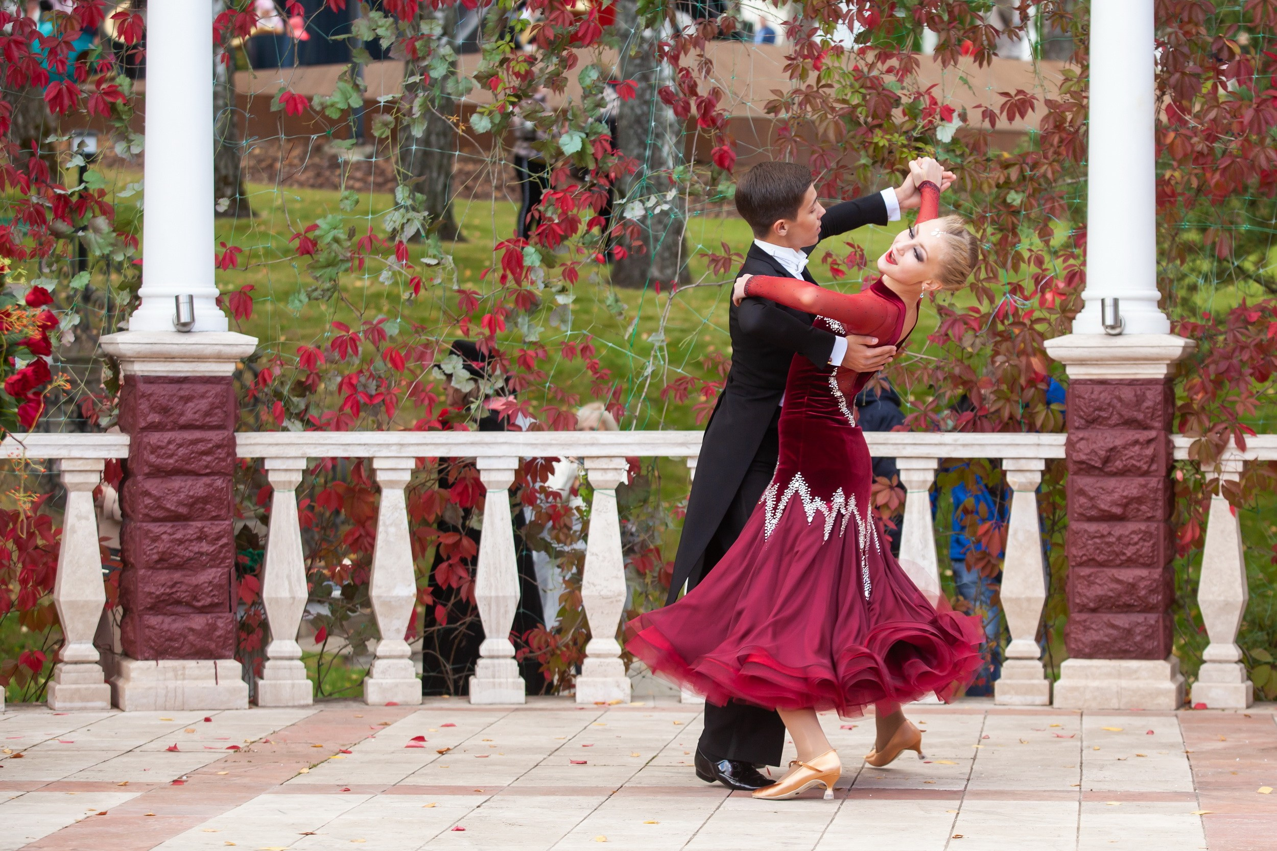 Кубок Губернатора по конкуру (21 сентября 2019). Репортажный фотограф Алексей Пирязев