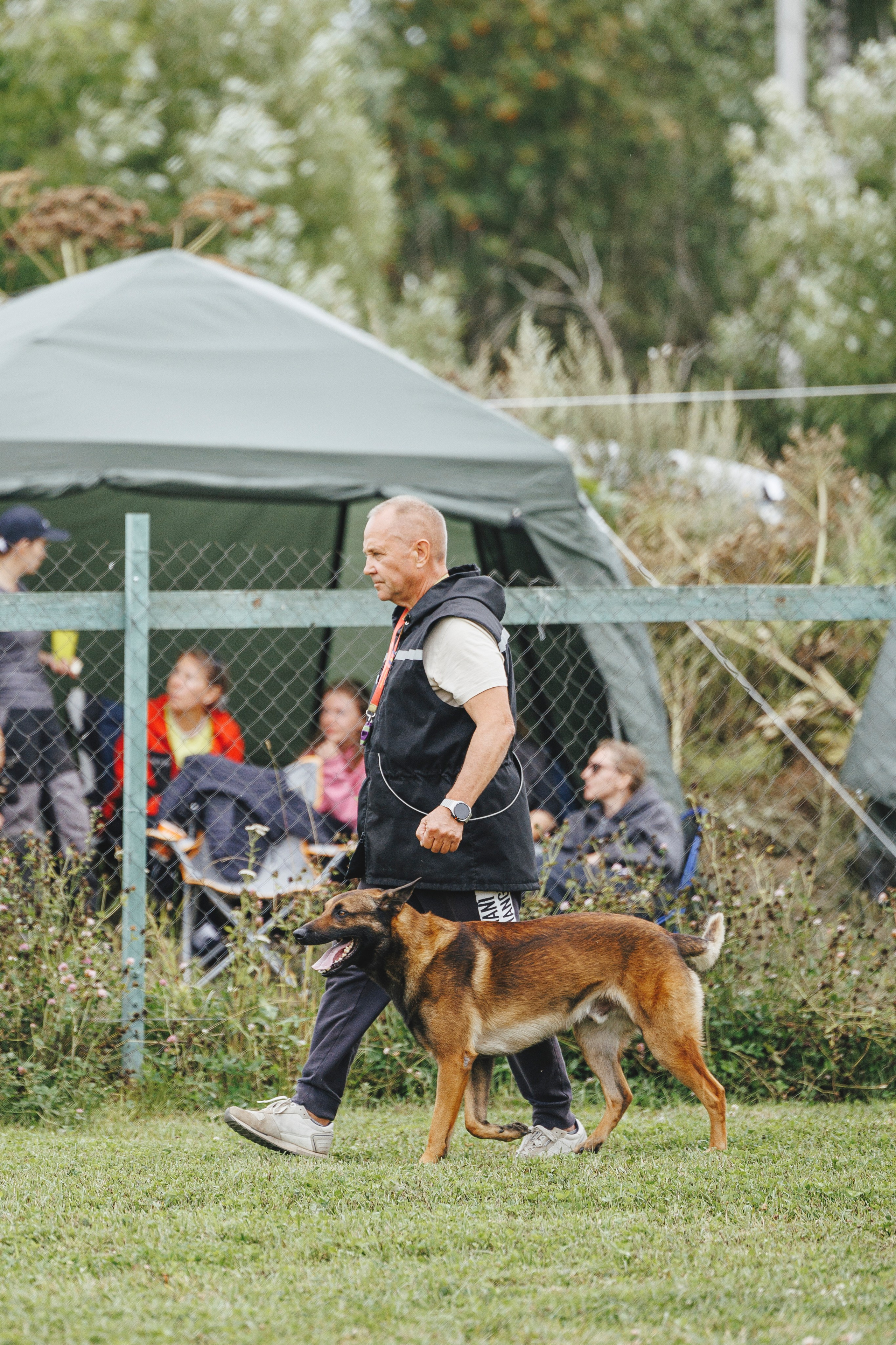 08.08.25-10.08.25 ЧР по мондьорингу г. Вологда. Фотограф-анималист Анна Маринич