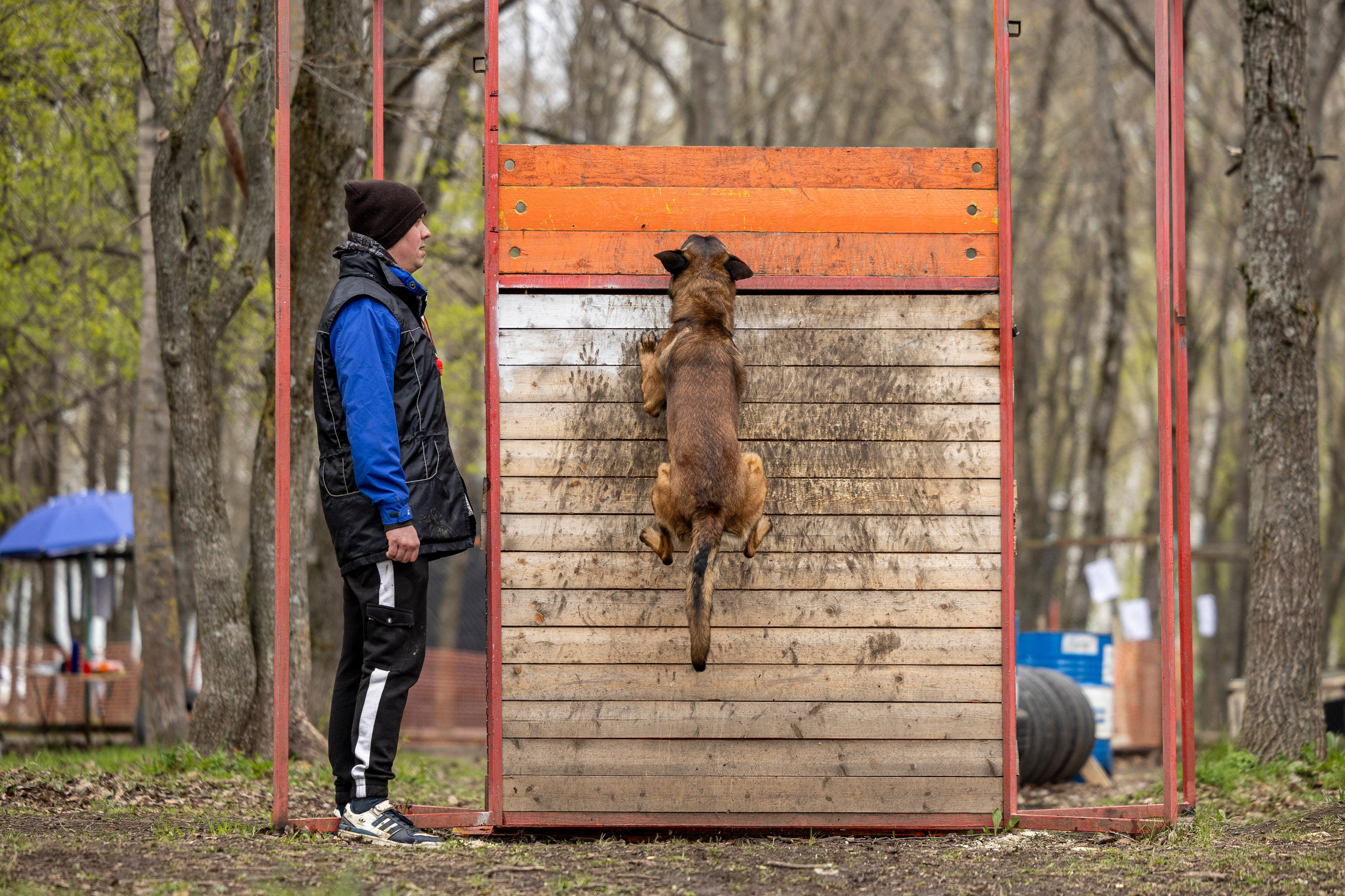 Квалификационные состязания по мондьорингу г. Вологда 11.05.24. Фотограф-анималист Анна Маринич
