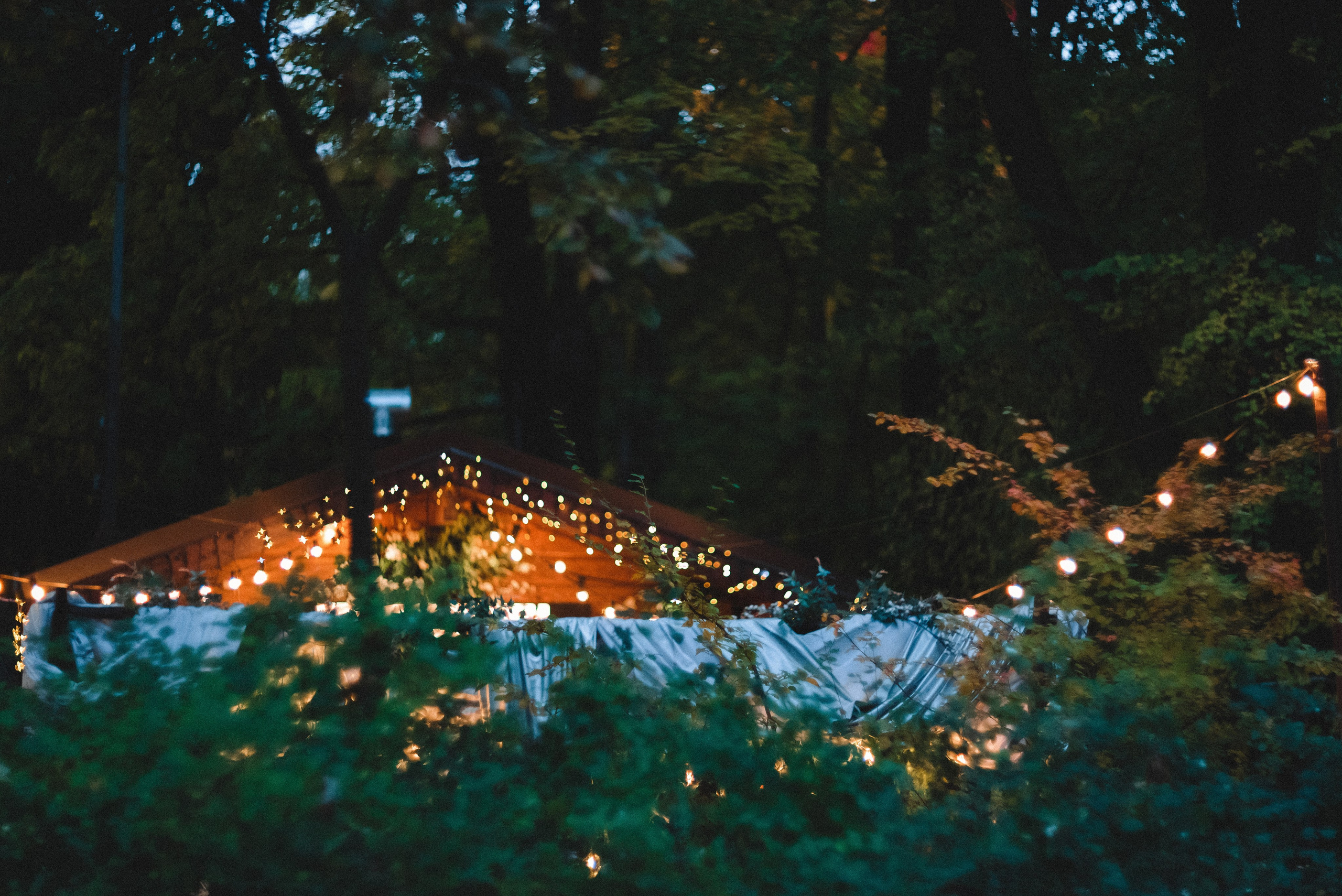 Autumn. Свадебный фотограф Санкт-Петербург DanyaPhotoart