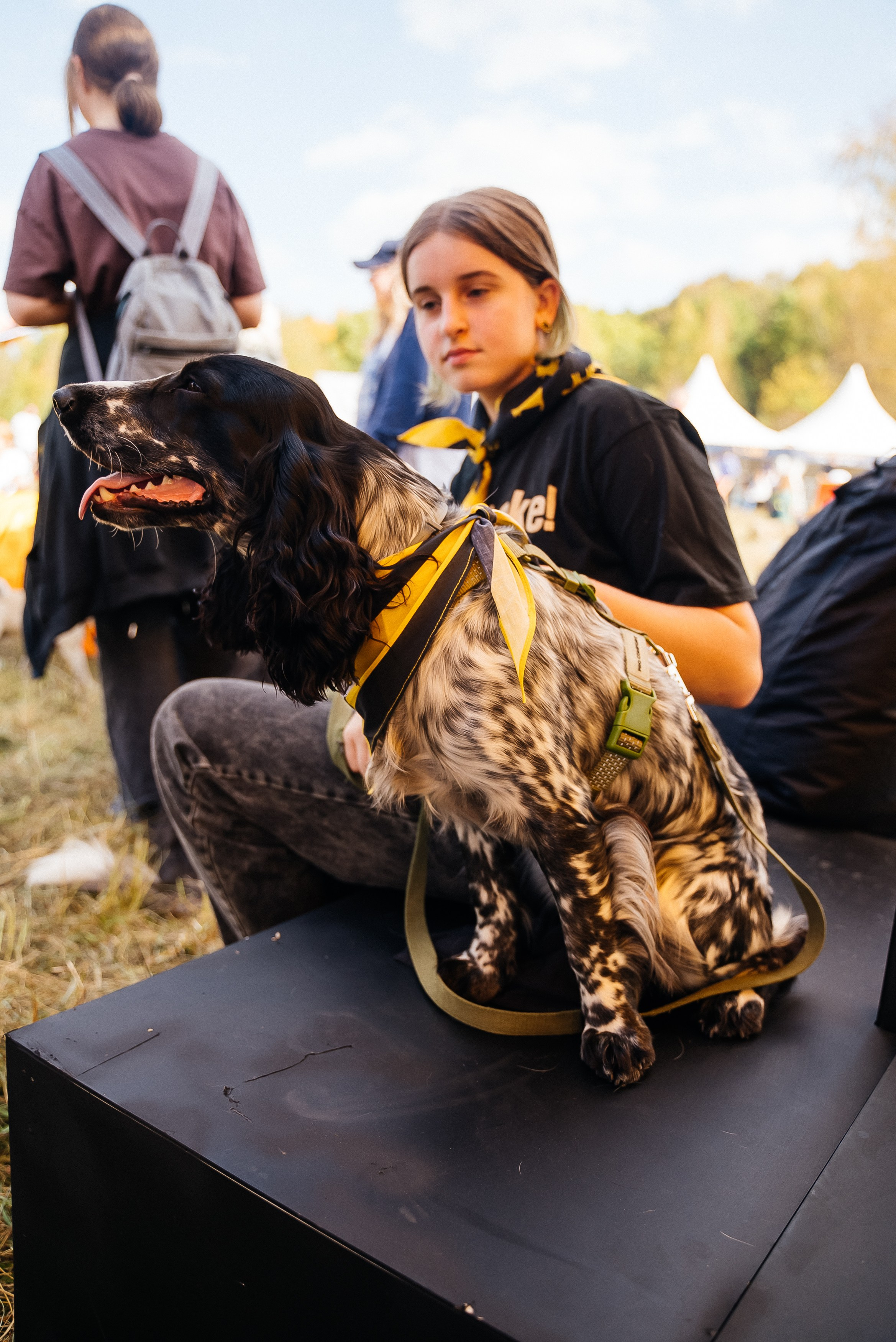 Билайн. Павел Краснов — Свадебный и репортажный фотограф в Москве