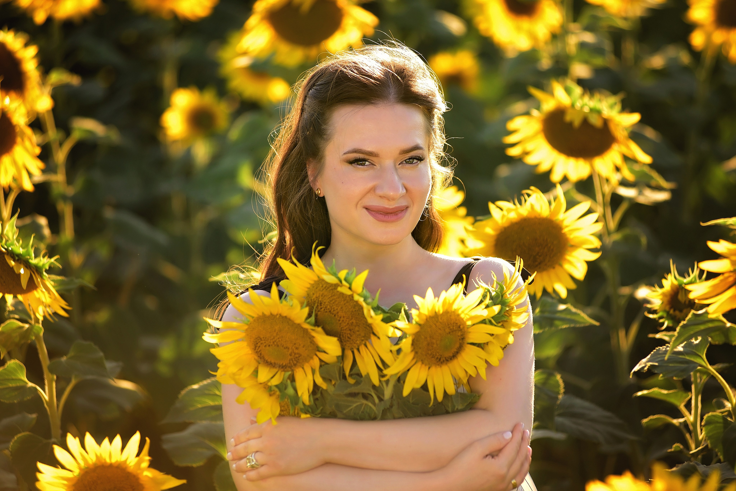 Подсолнухи. Главная