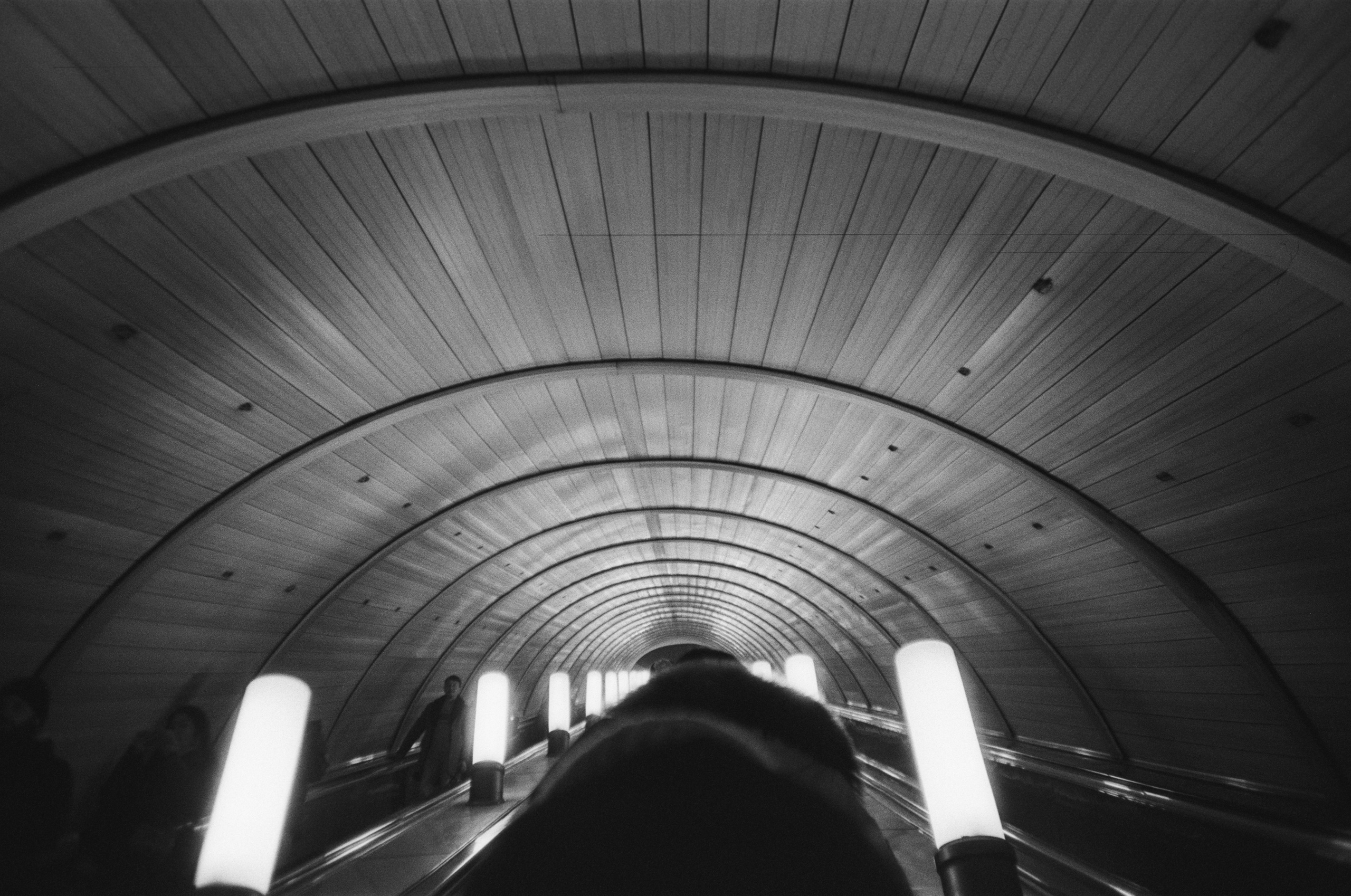 Grain. Artem Khusainov