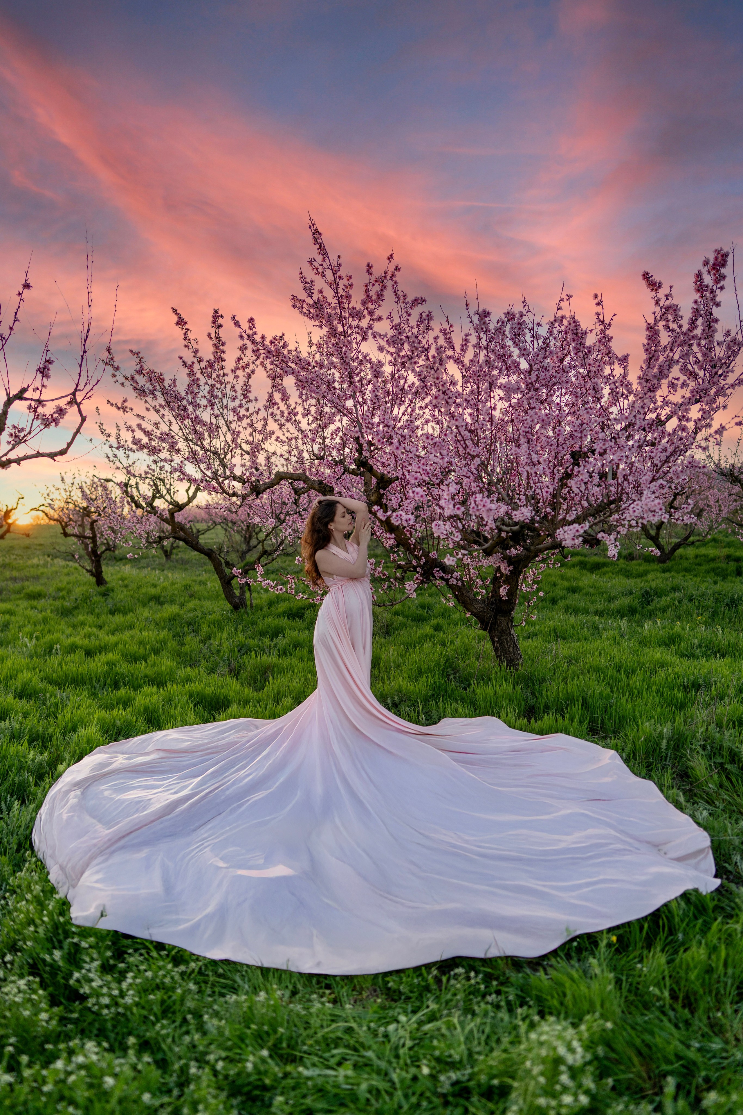 Розовое со шлейфом (s-l). Фотограф в Крыму Лебедева Александра