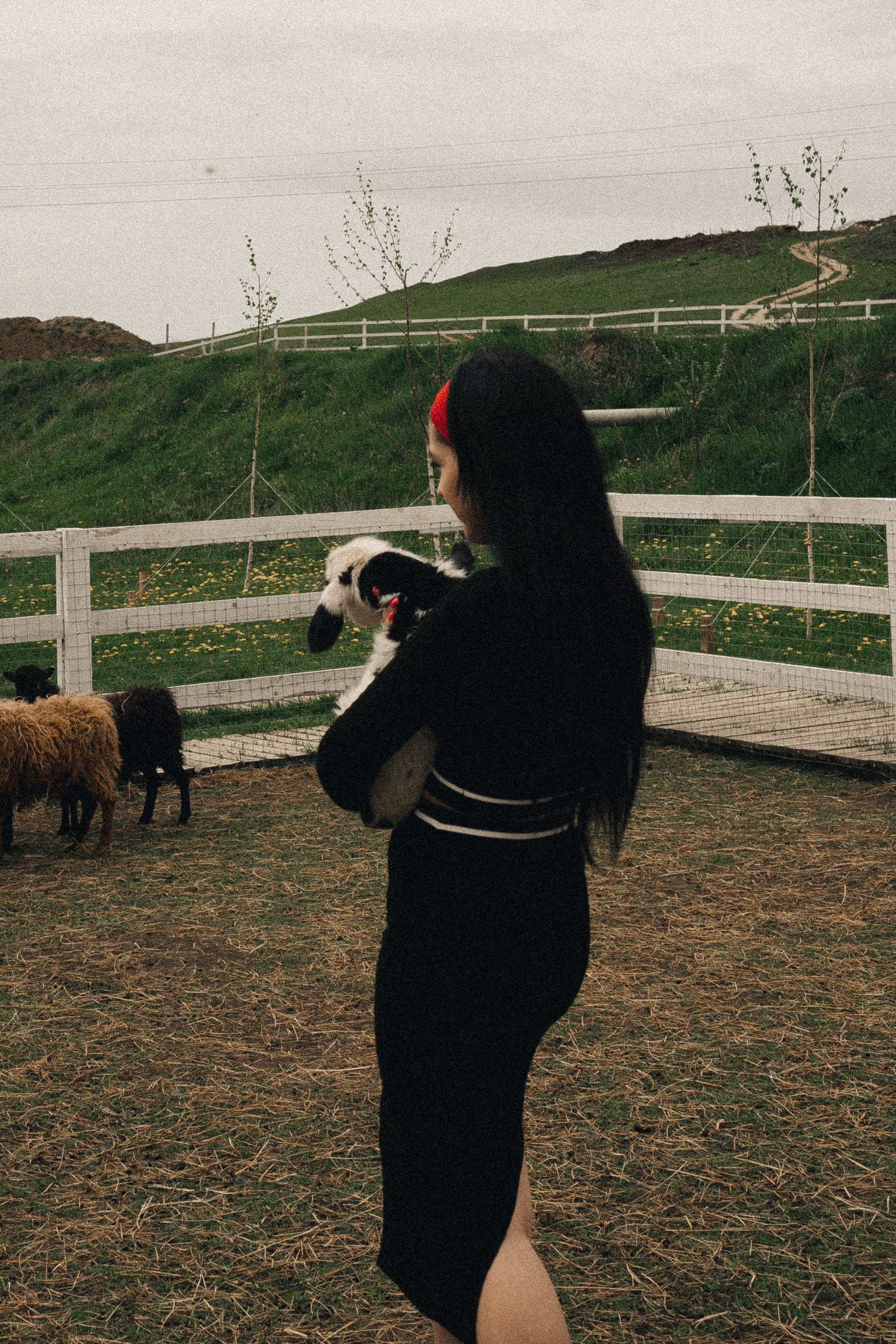 Ферма Альпак. Профессиональный фотограф, Санкт-Петербург — Виктория Богомолова