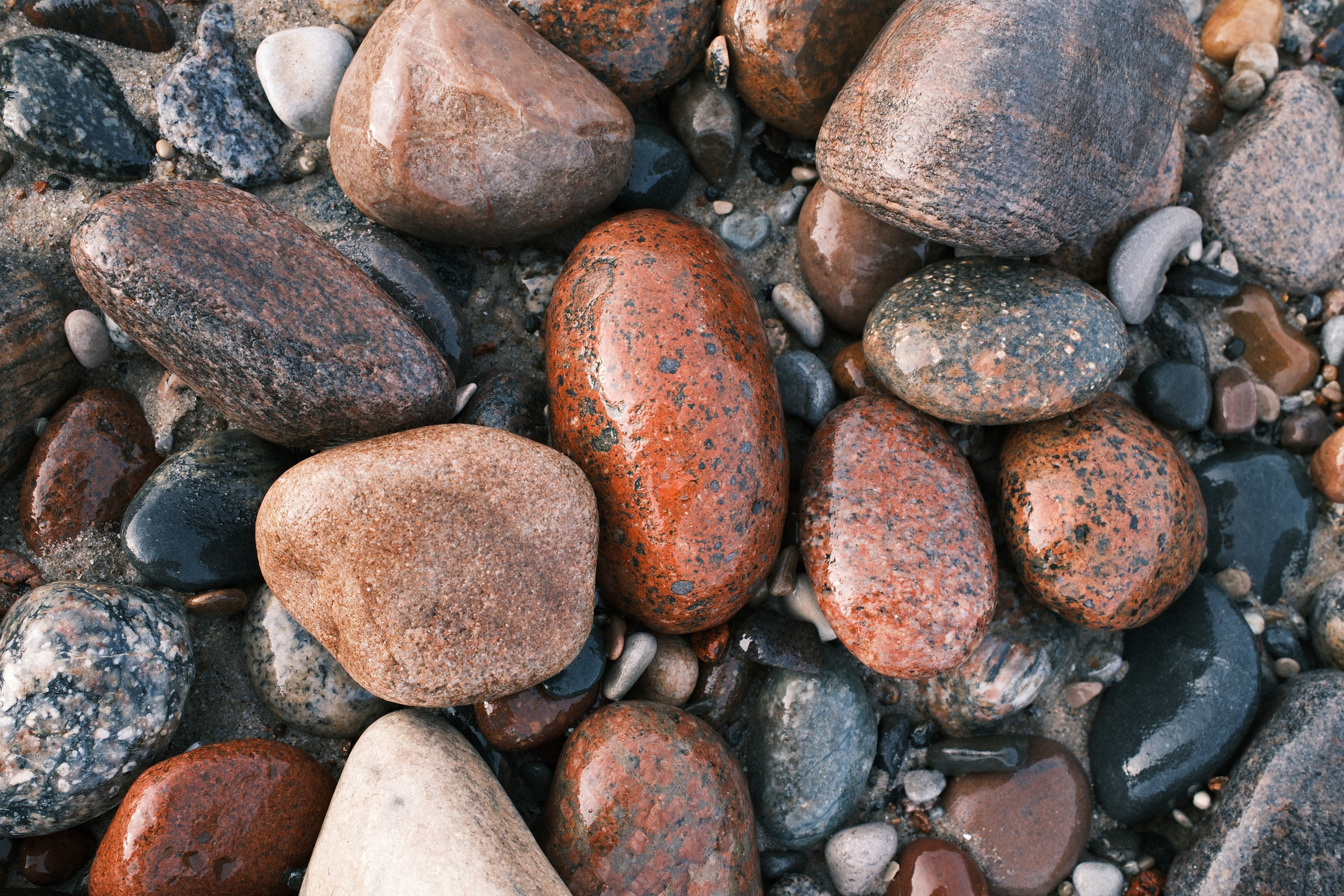 Зеленоградск. Калининградская область. Алексей Торопов фотограф