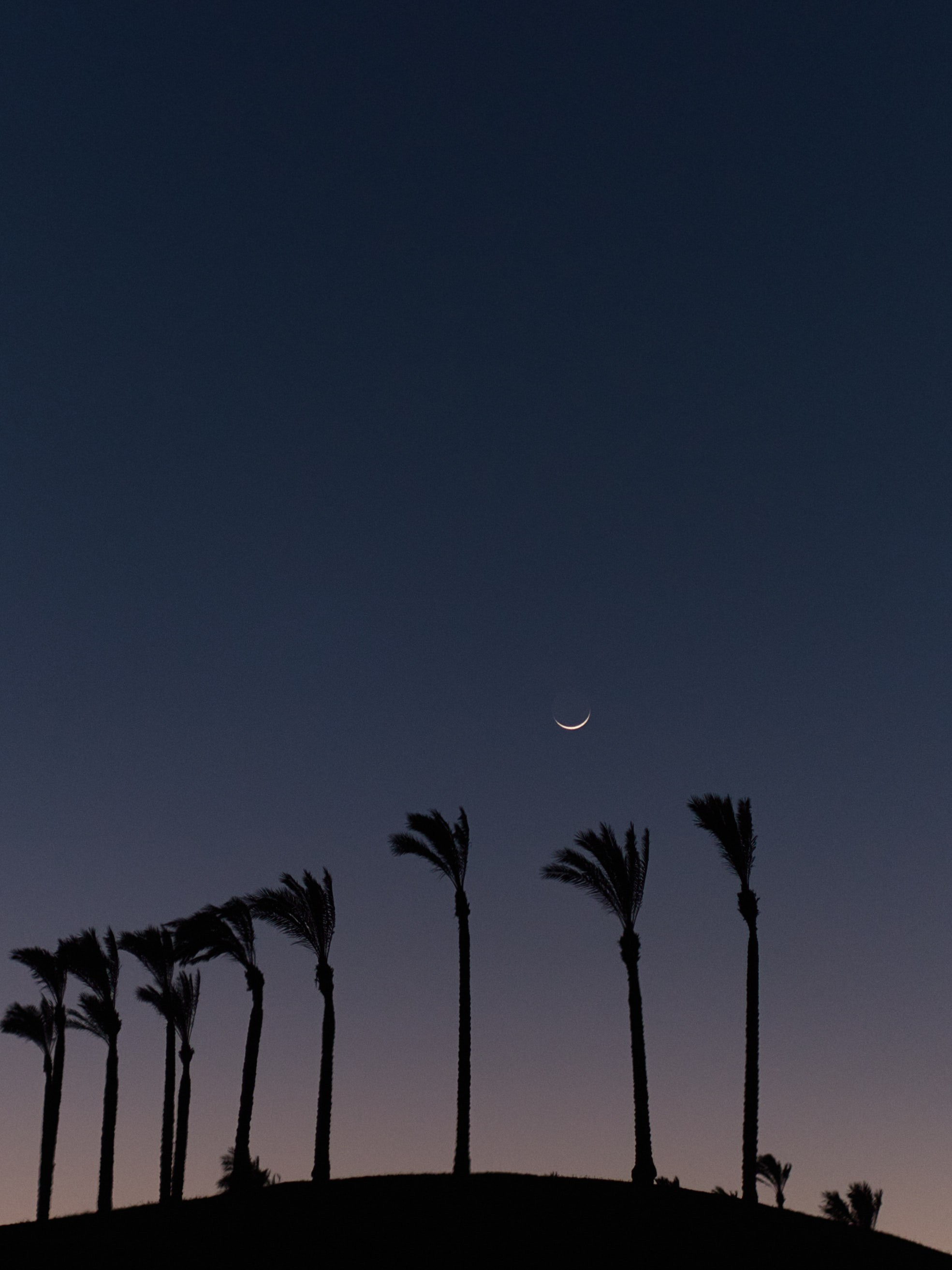 ¼. Jorgis Talè — photographer, kind person, teacher of arts and other mag