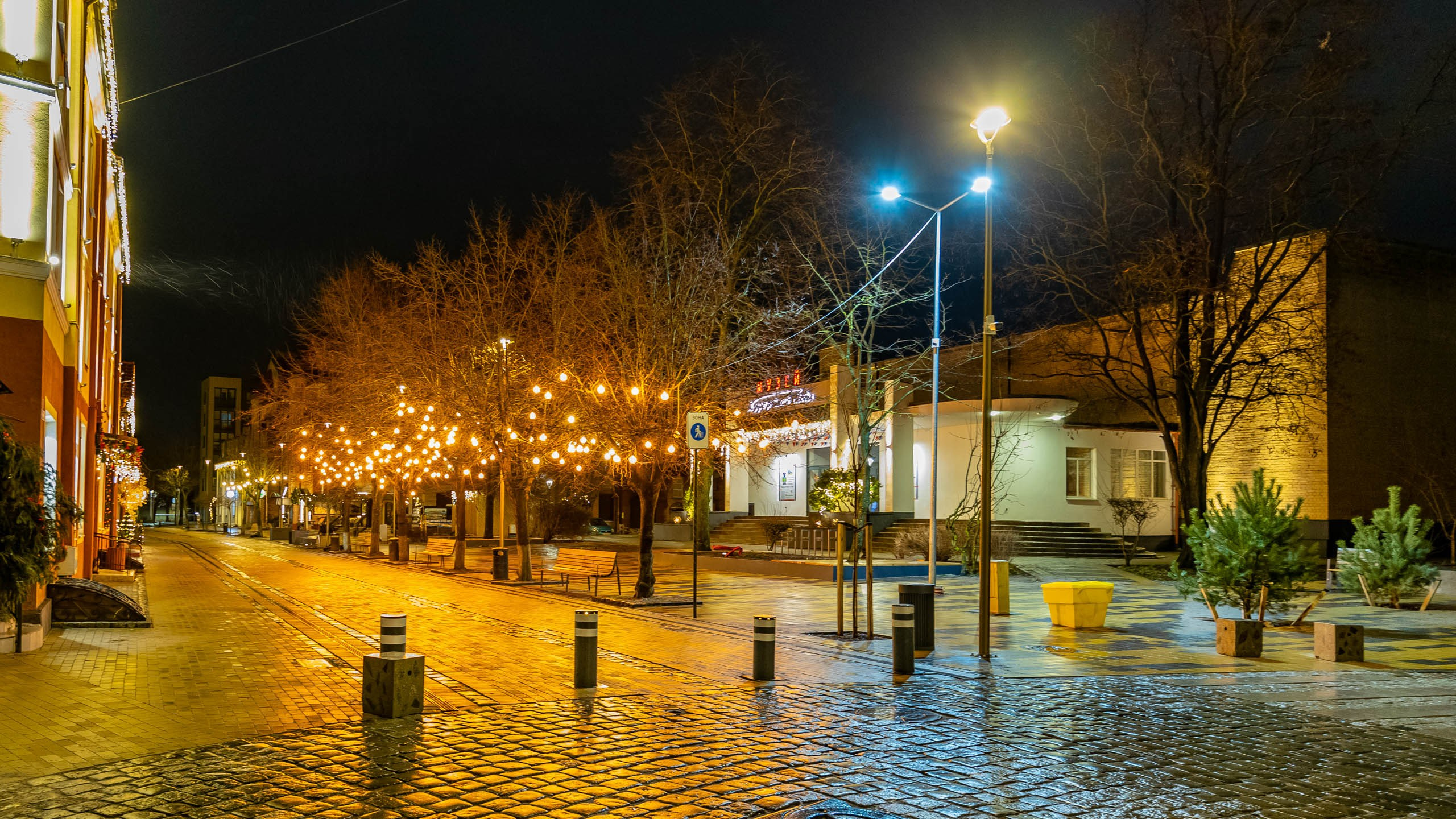 2024 01 Калининград (Светлогорск, Зеленоградск). Фотографии