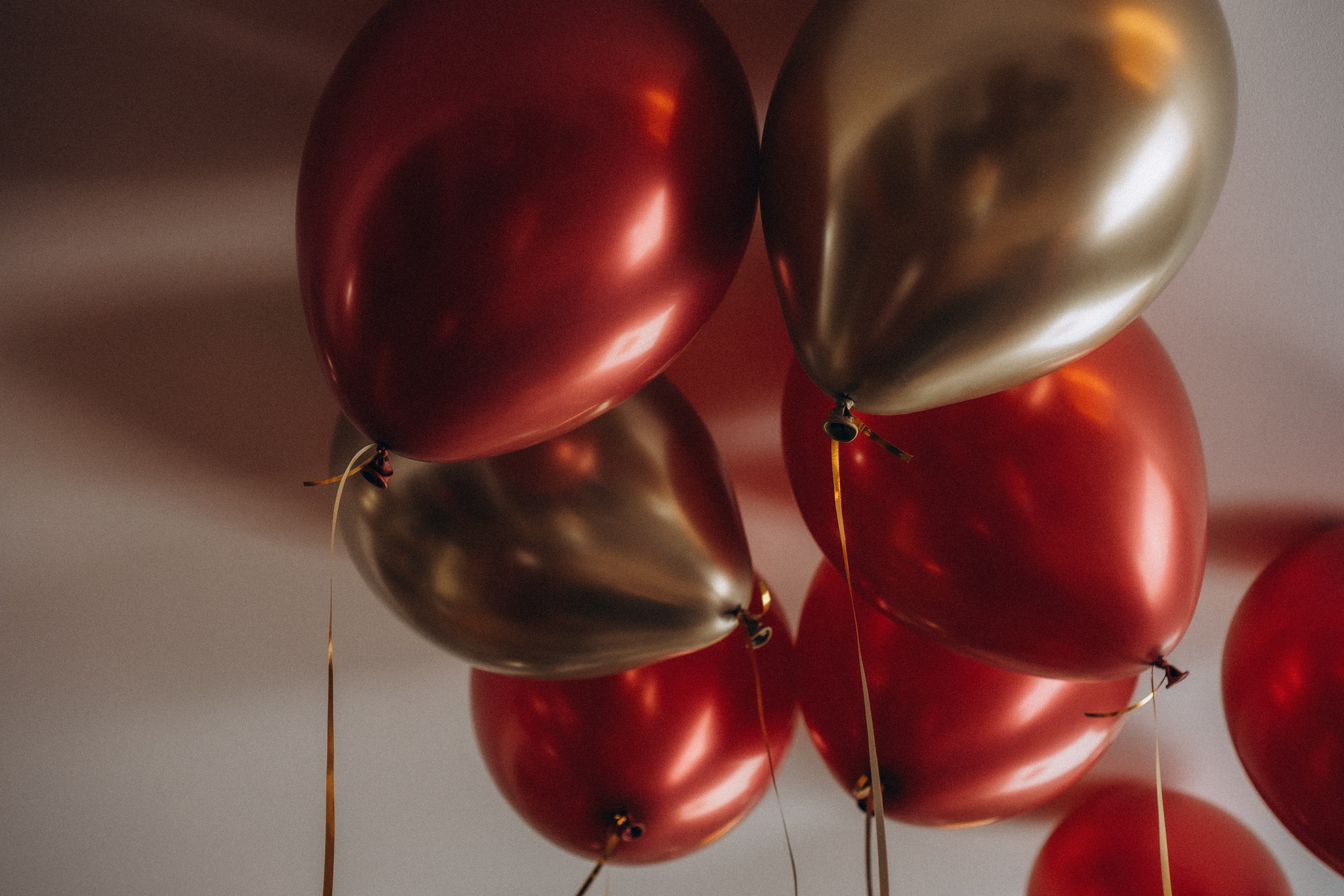 ДЕНЬ РОЖДЕНИЯ. Профессиональный фотограф, Санкт-Петербург — Виктория Богомолова