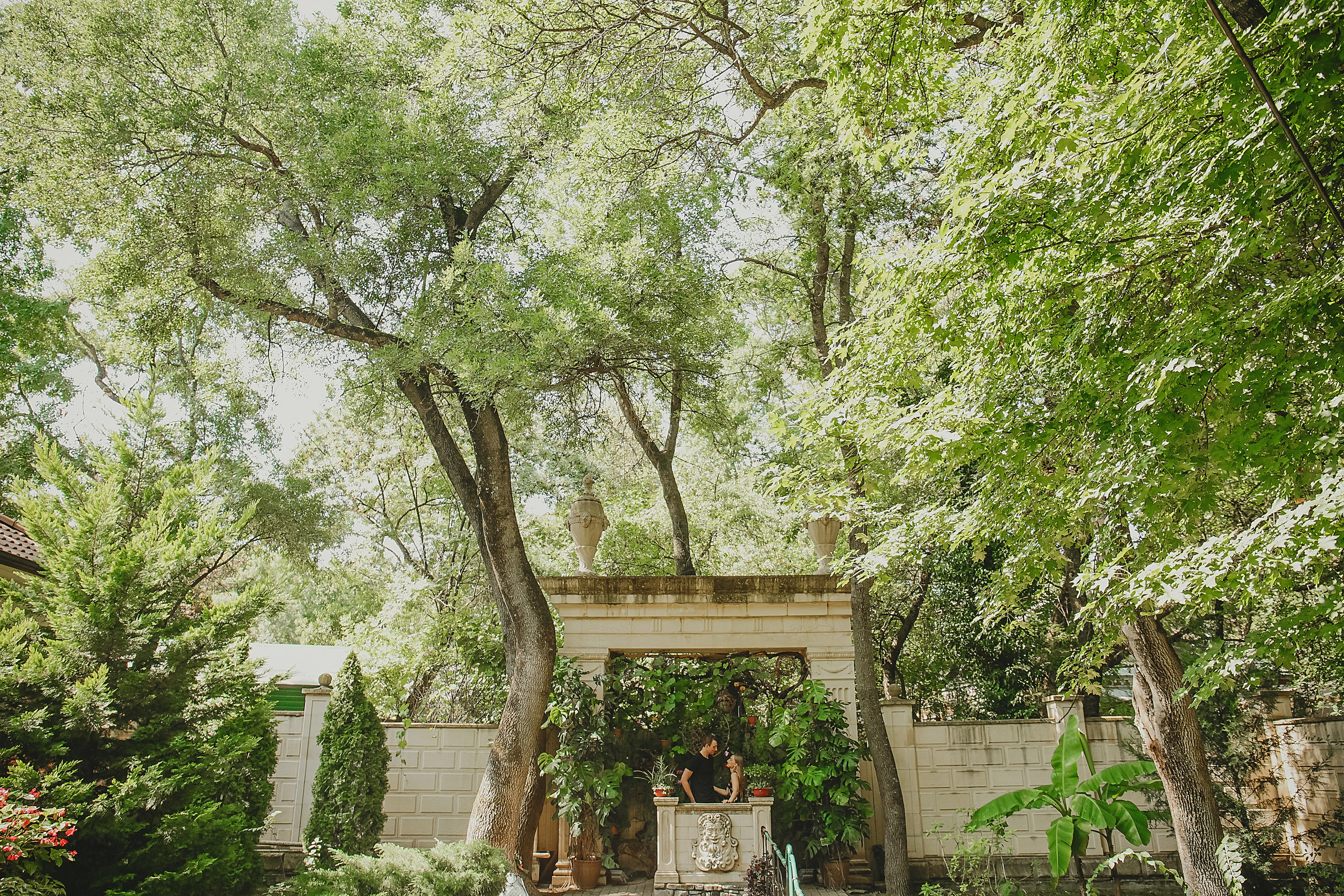 зелень окутала все пространство по центру стоят молодожены