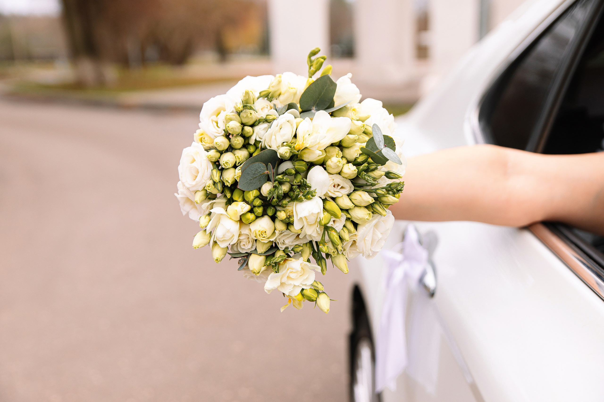 ВЛАДЛЕНА И КОНСТАНТИН. Свадебный и семейный фотограф в Курске и Курчатове