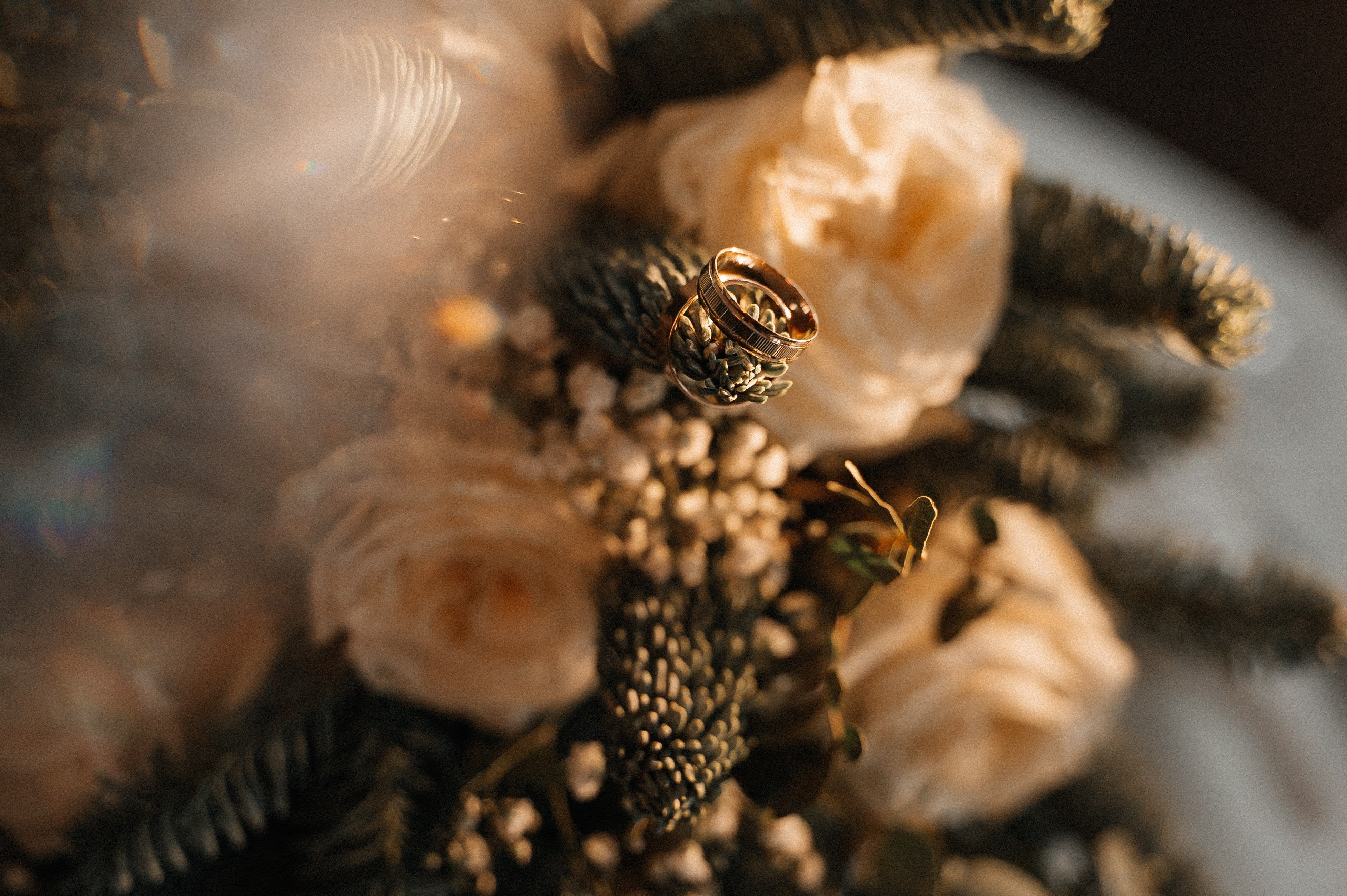 Паша и Настя 16.12.2023. Свадебный и семейный фотограф в городе Смоленске