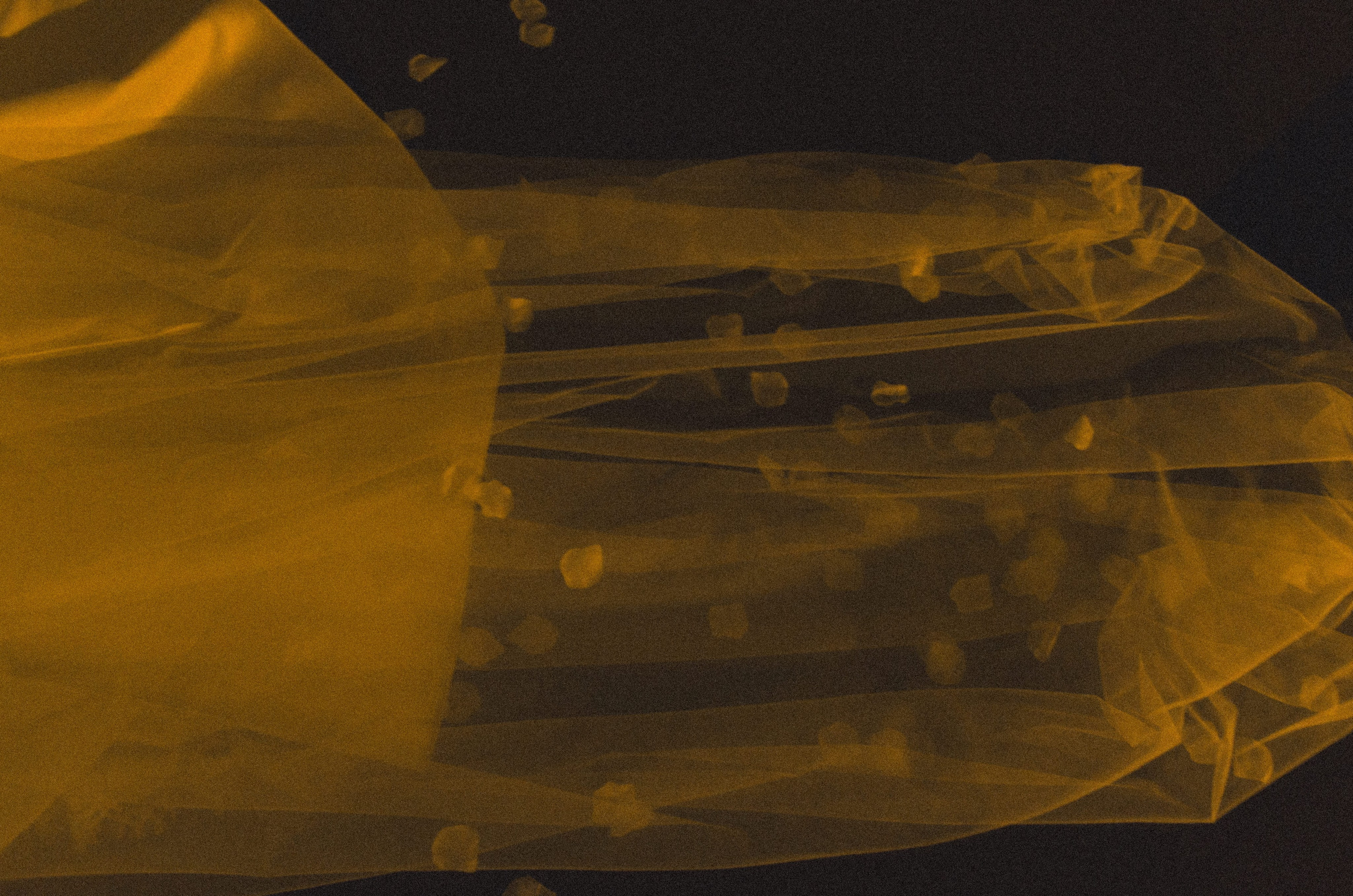 Анастасия & Анатолий. Yura Rush Свадебный фотограф Тюмень