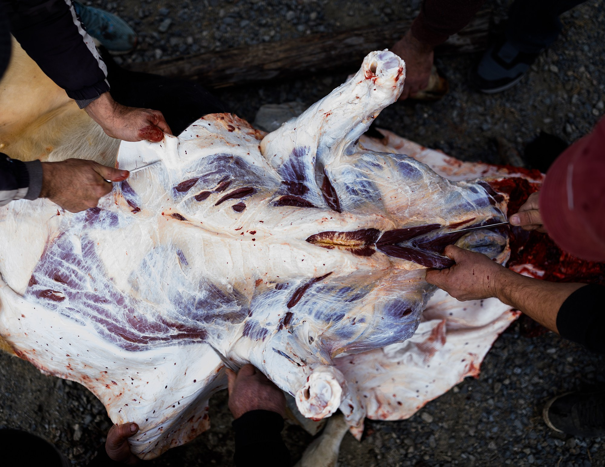 Dagestan. Seasons. Autumn. Documentary and art photographer Alexey Terentyev