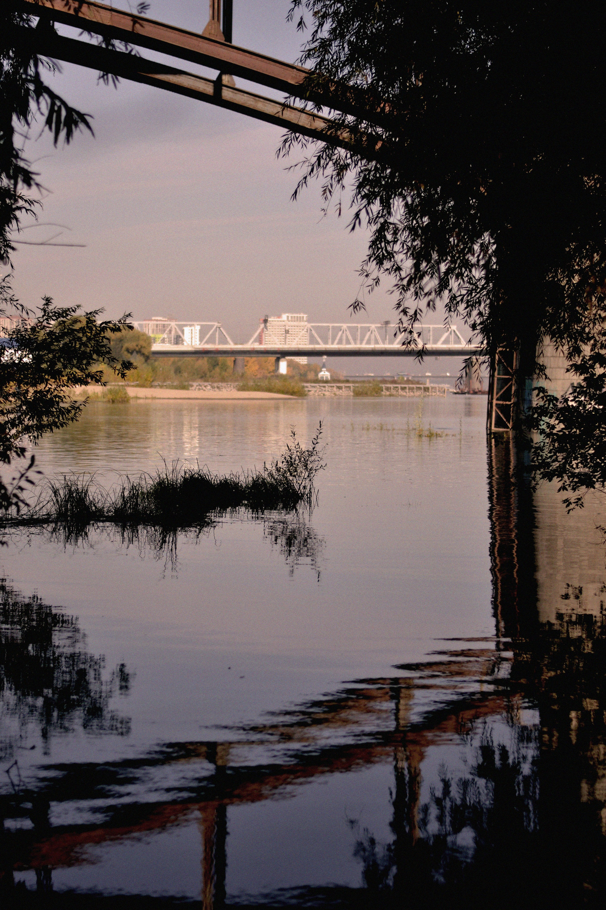 STREET. Фотограф Ольга Дмитриева. Новосибирск
