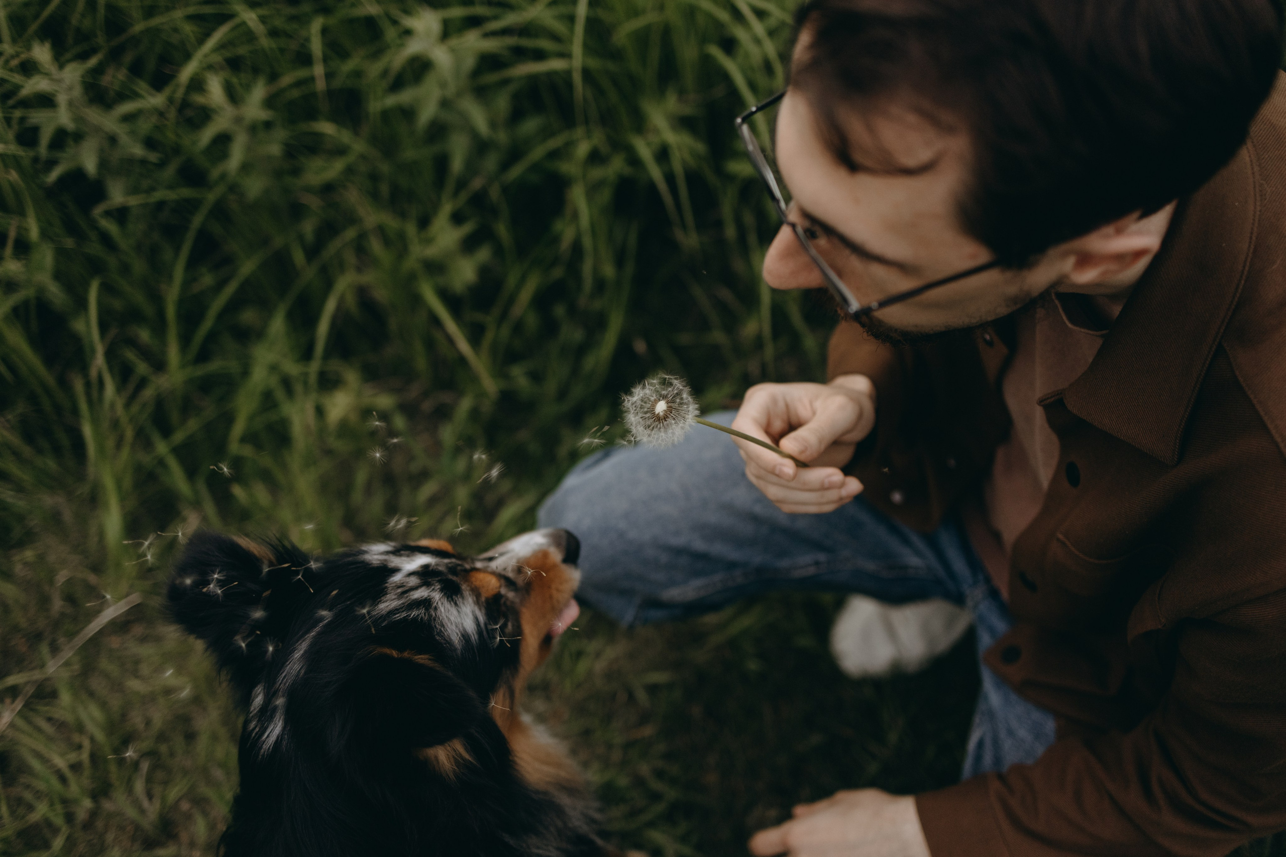Настя, Никита и их Гром и Мяу. Фотограф — Анималист | Санкт-Петербург