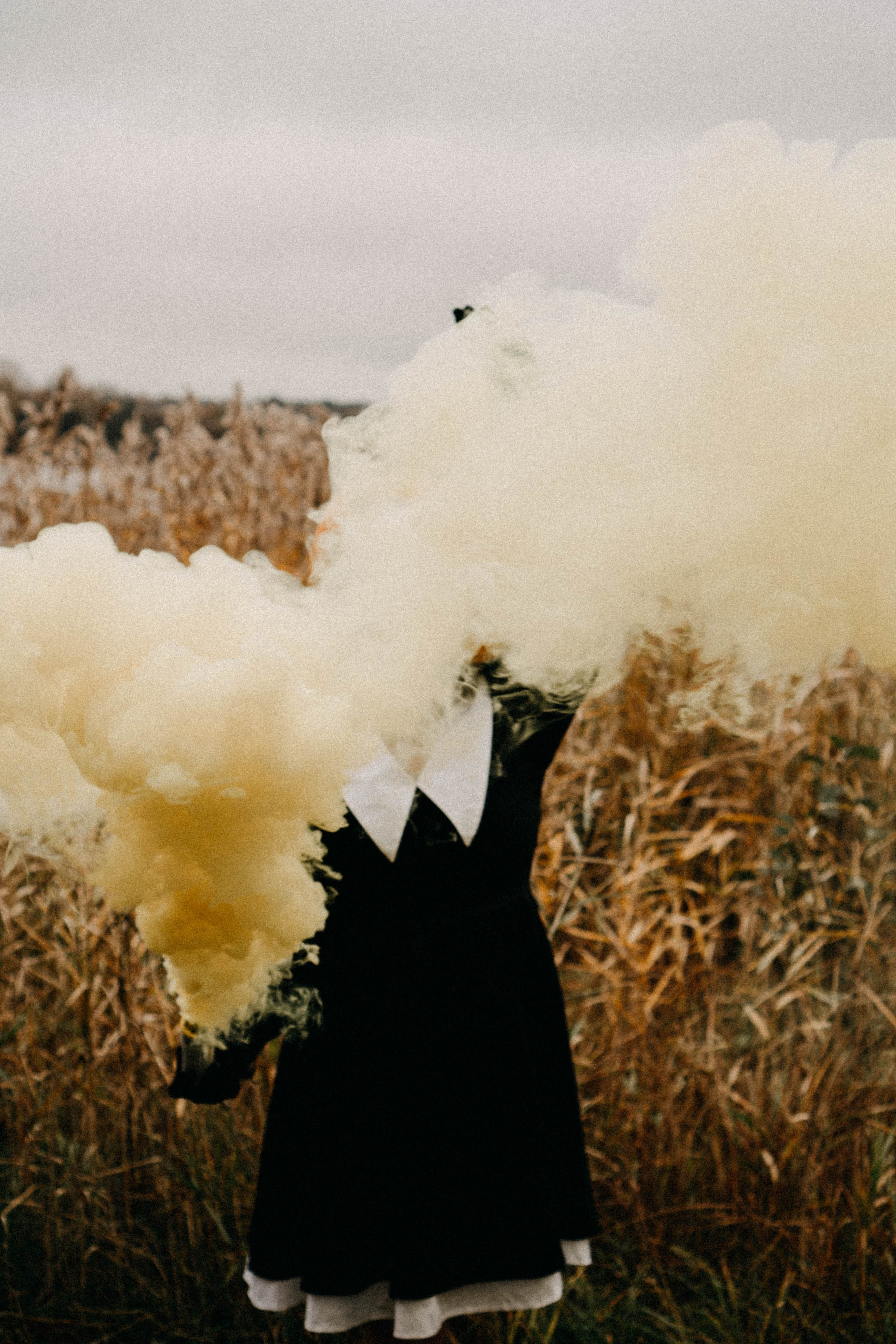 Осеняя. Профессиональный фотограф, Санкт-Петербург — Виктория Богомолова