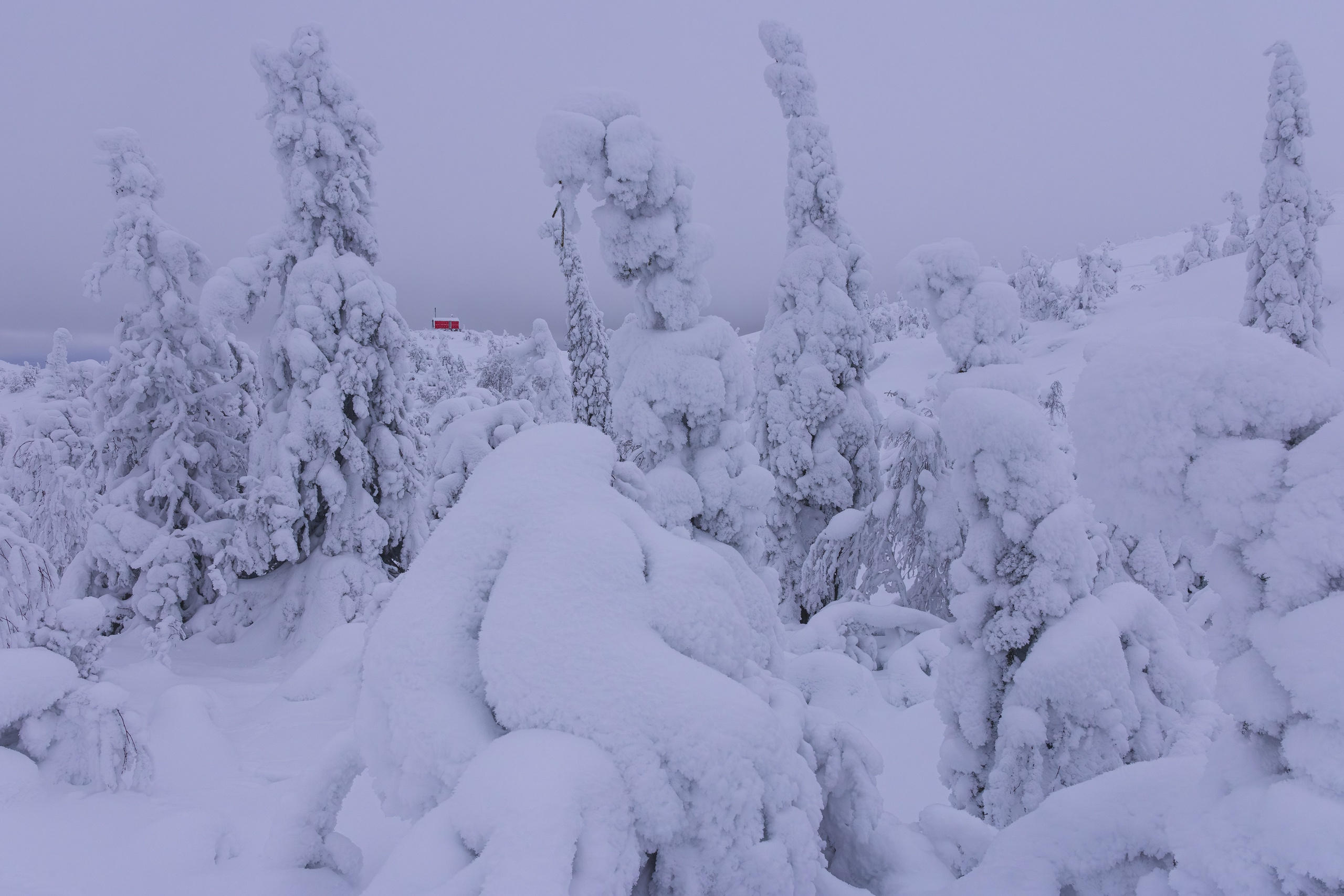 Stanislav Photography