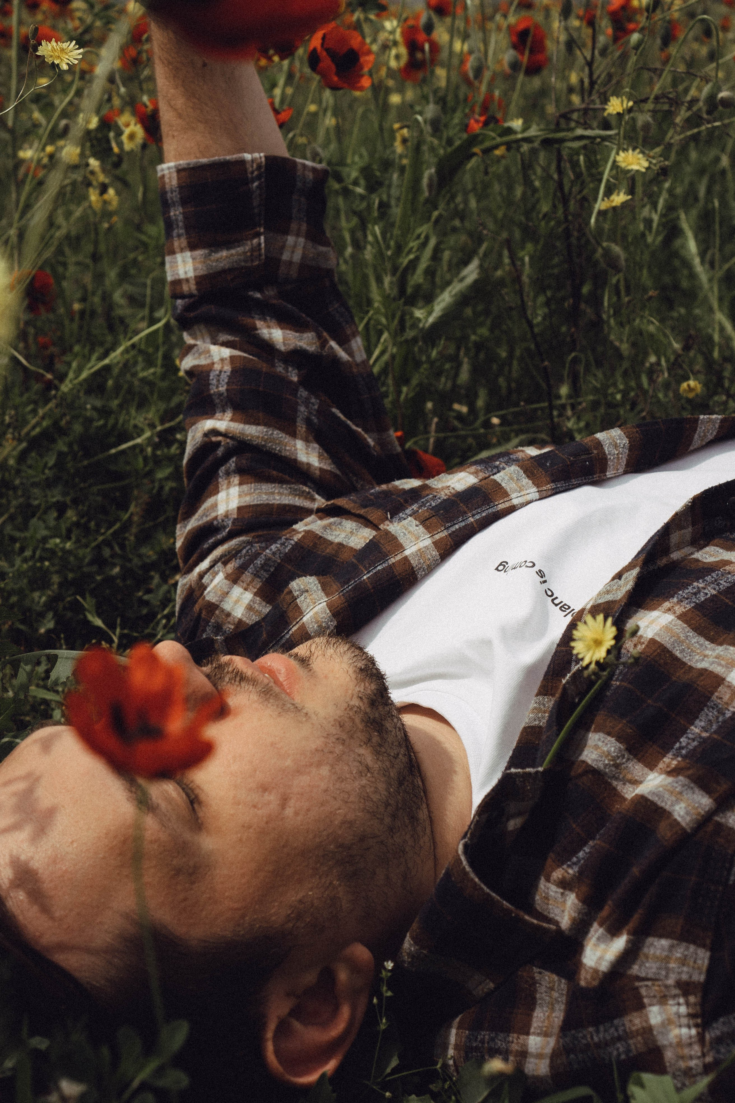 Маки. Профессиональный фотограф, Санкт-Петербург — Виктория Богомолова