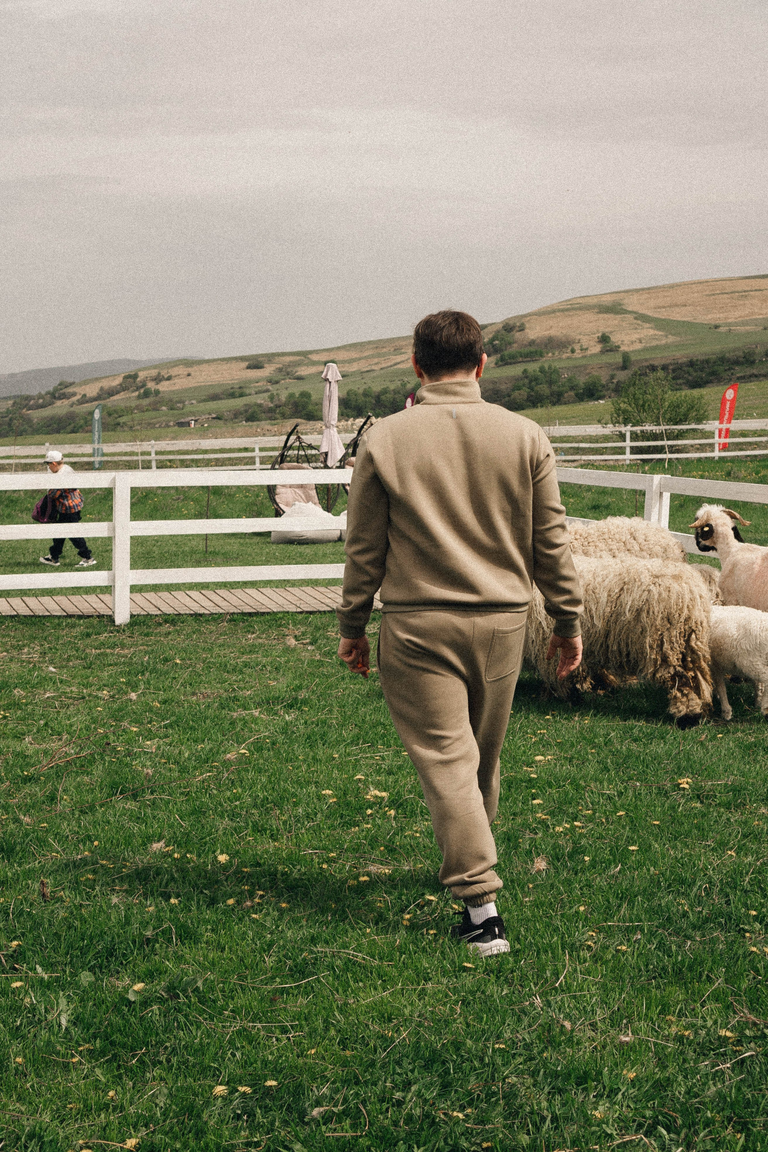 Ферма Альпак. Профессиональный фотограф, Санкт-Петербург — Виктория Богомолова