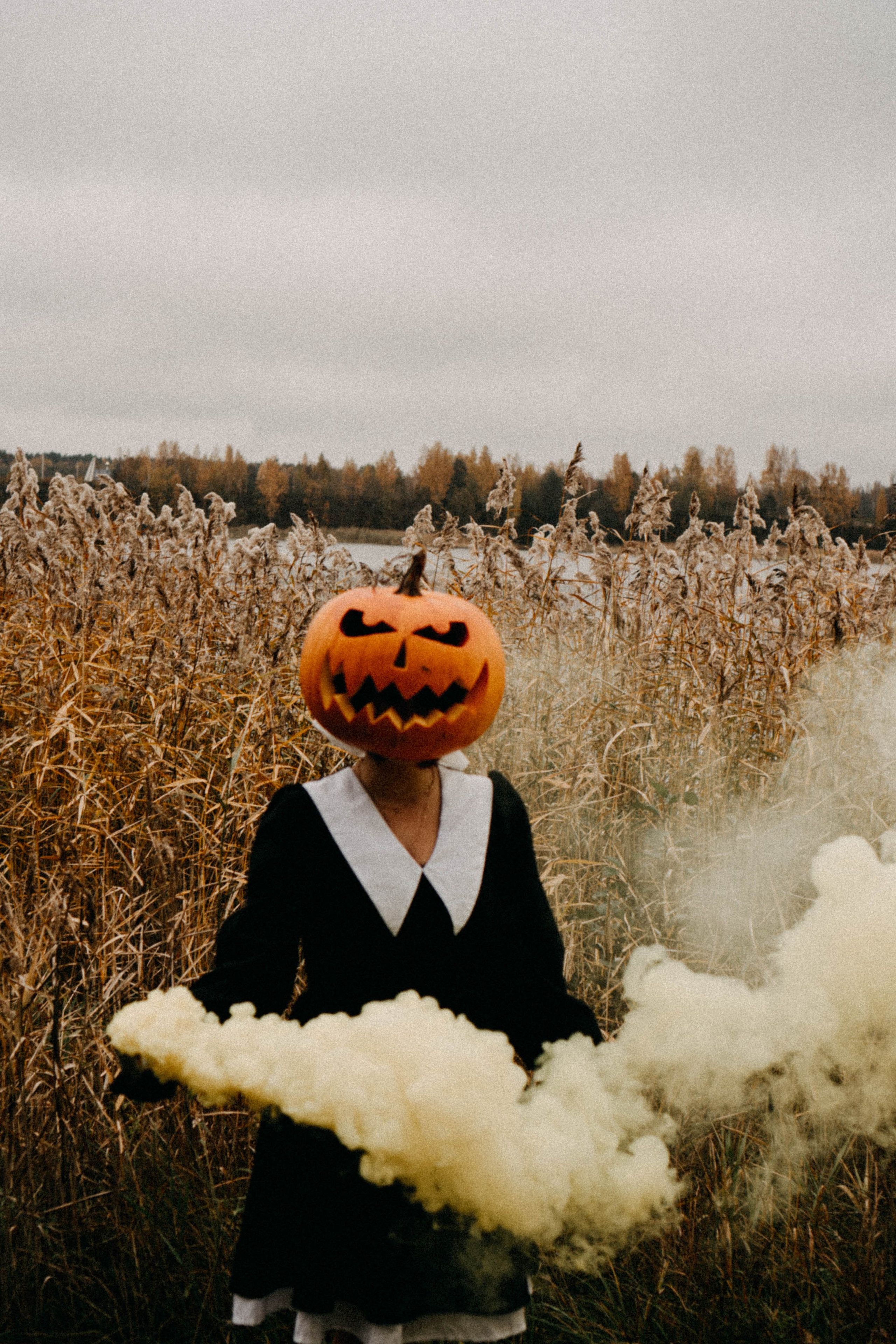 Осеняя. Профессиональный фотограф, Санкт-Петербург — Виктория Богомолова