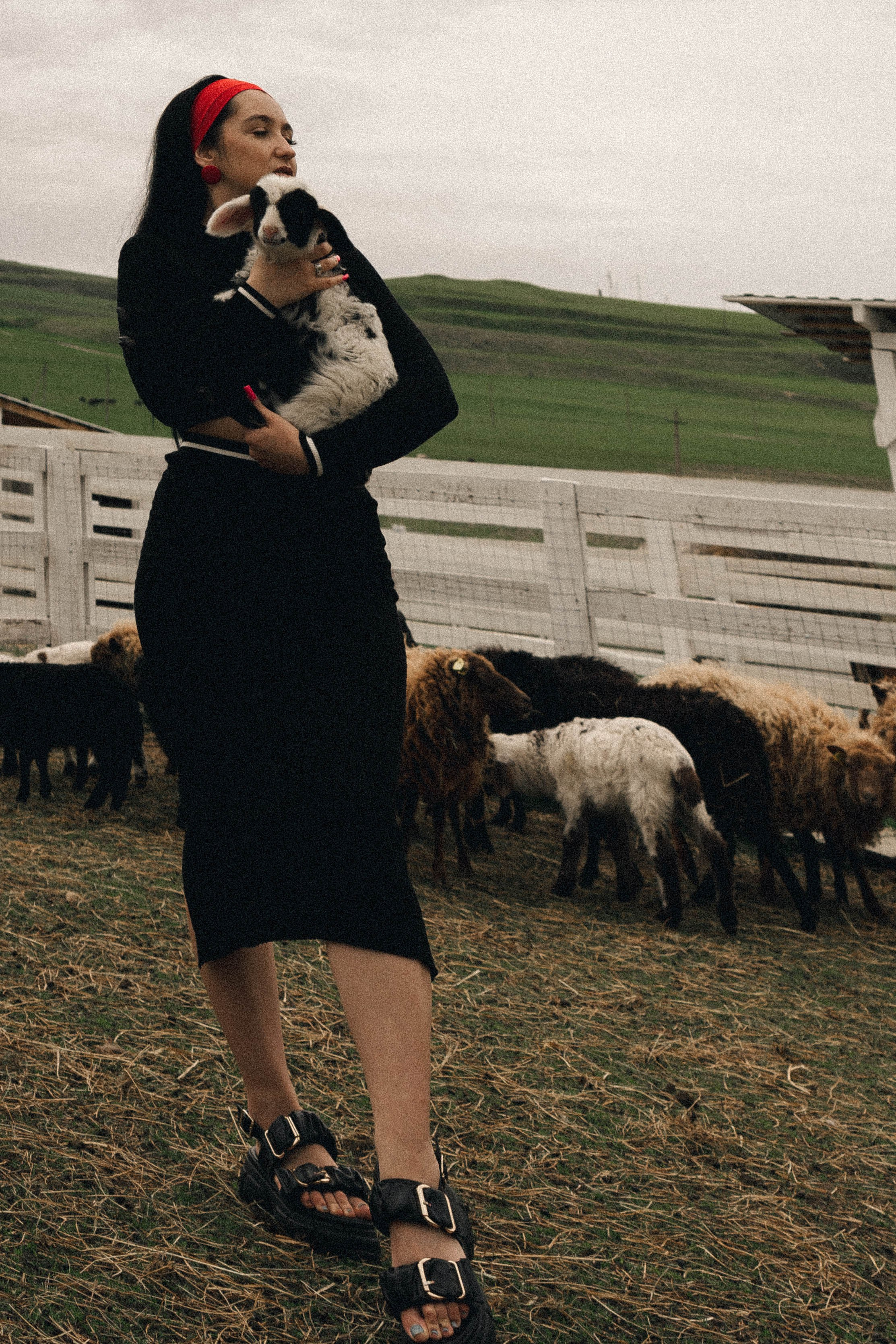 Ферма Альпак. Профессиональный фотограф, Санкт-Петербург — Виктория Богомолова