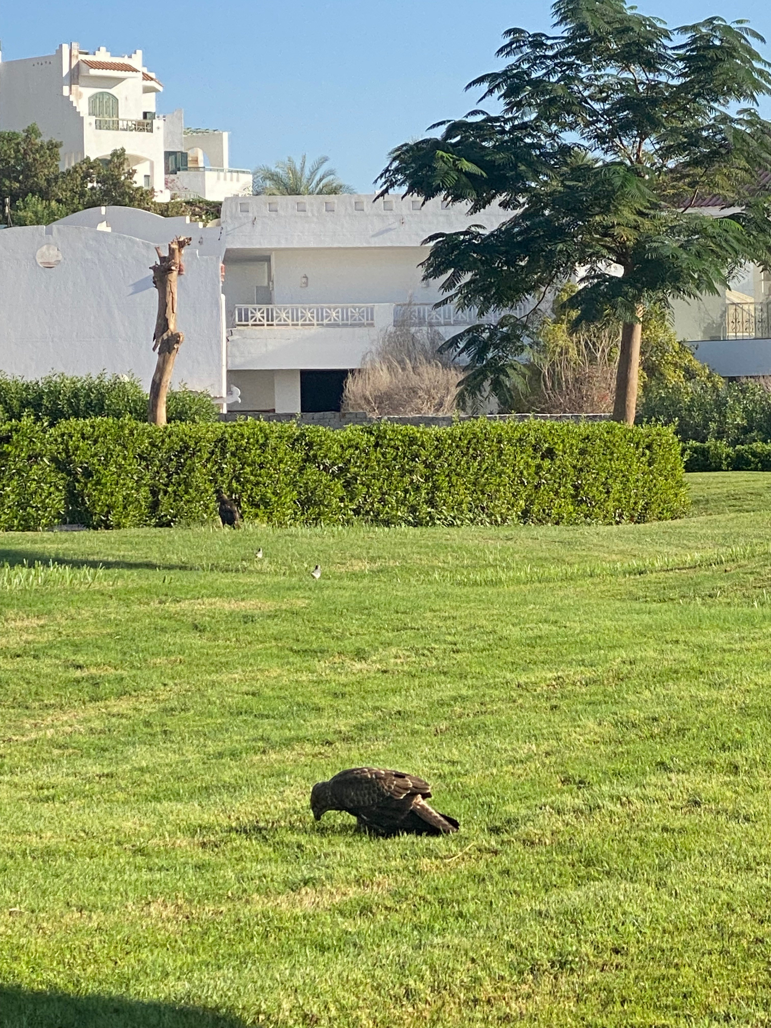 Египет — 21. Своя Мастерская