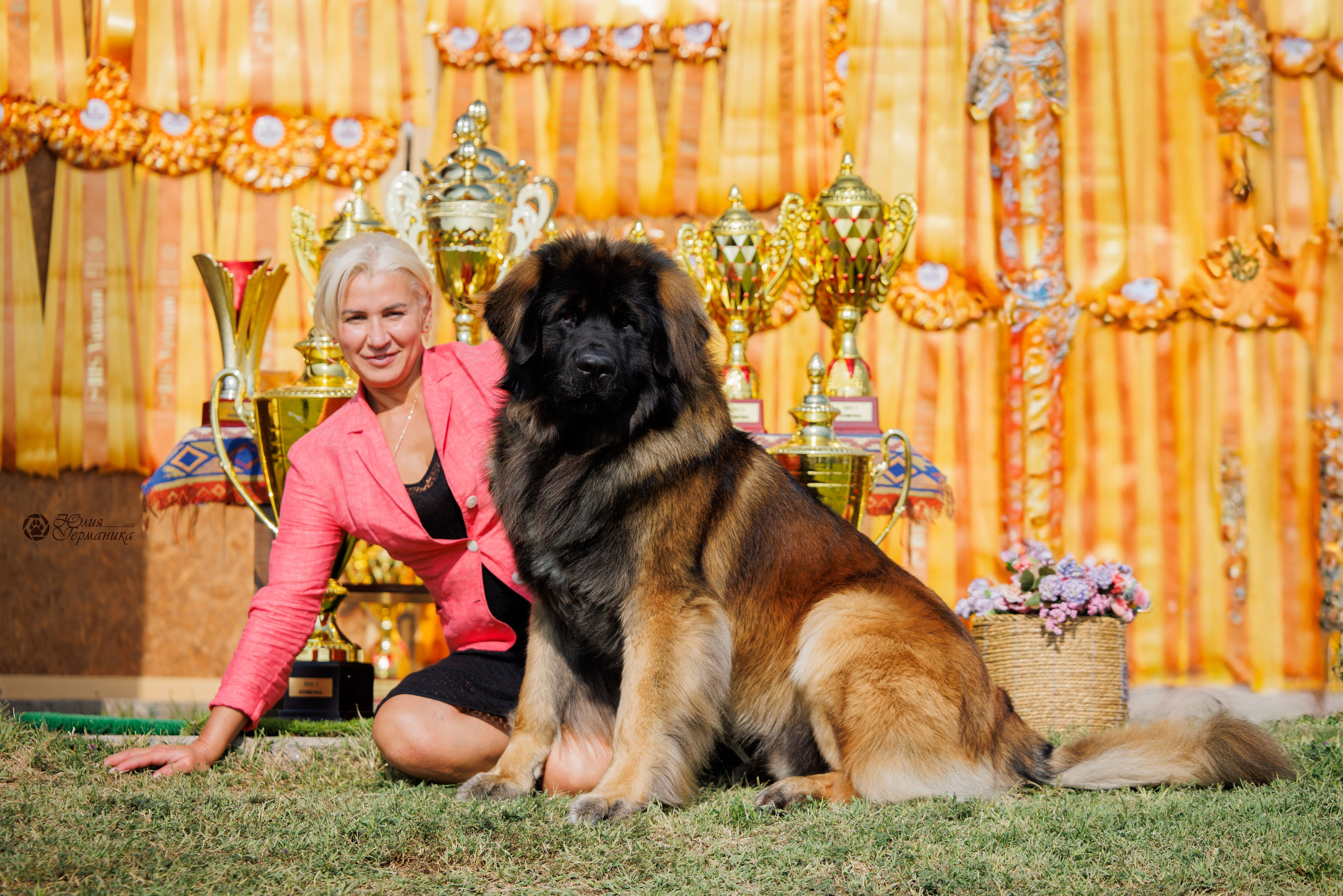 Армения,Ереван 3хCACIB 15-17.10.2024. Фотограф-анималист Юлия Германика