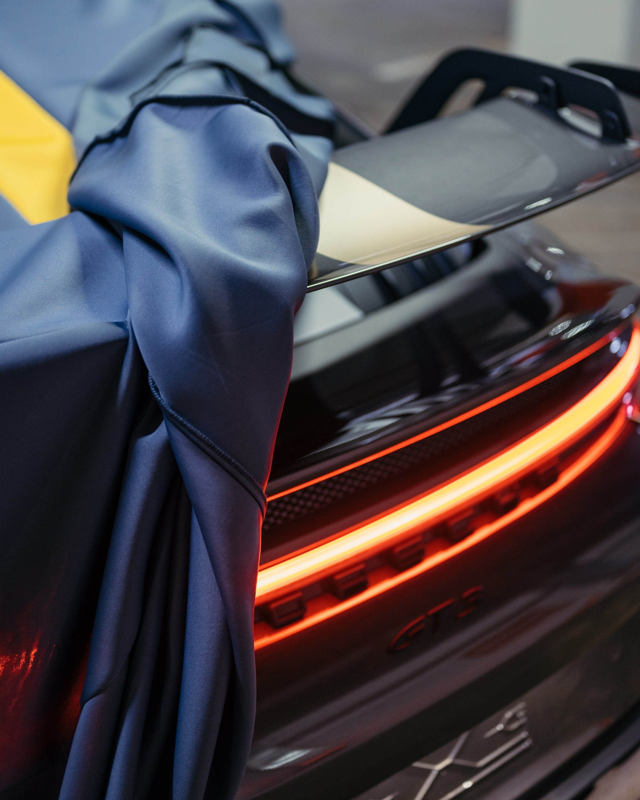 Porsche GT3 и BMW M4 чехлы для гаражного хранения. DeLorein