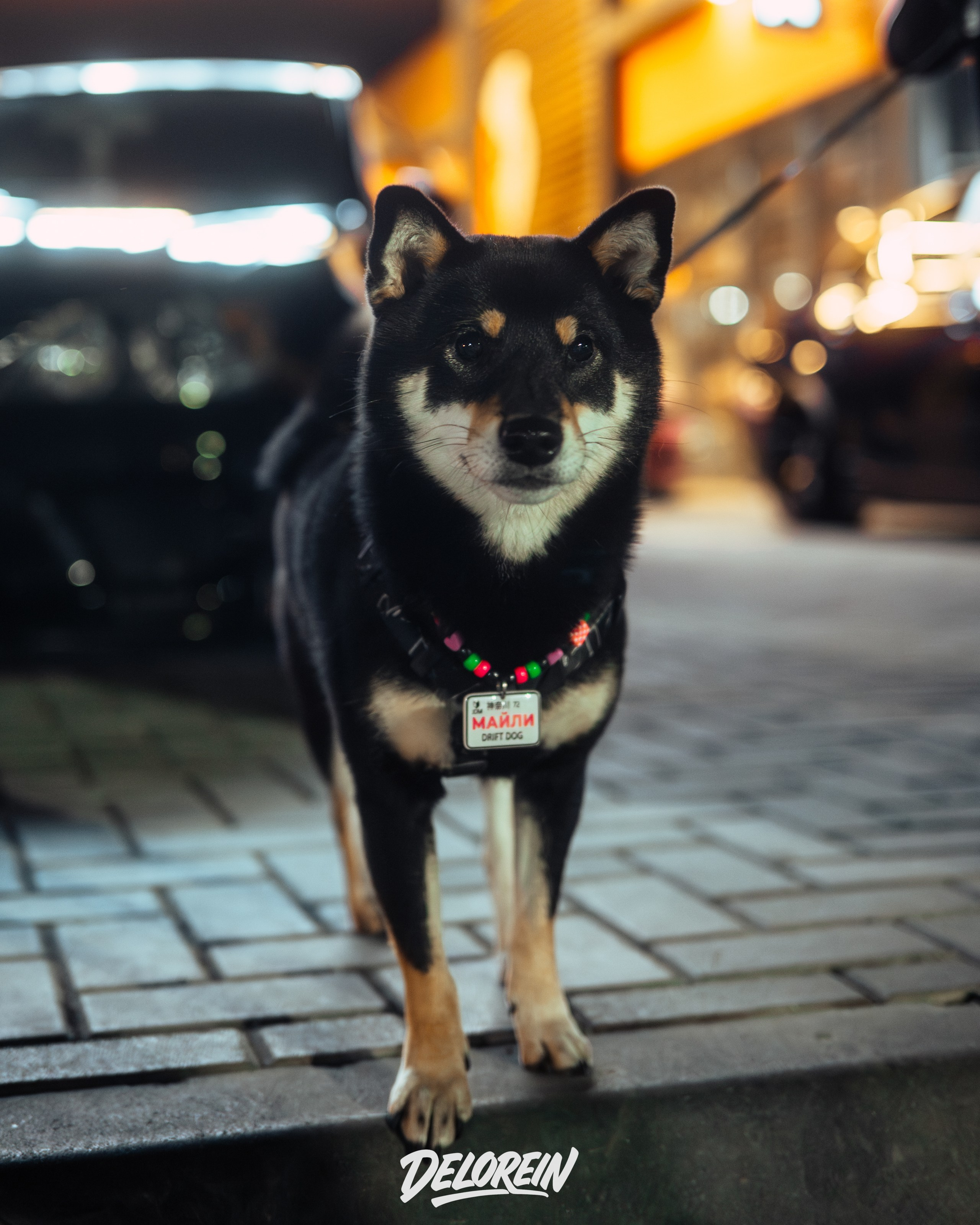 Downfly 3 сентября 2025. DeLorein