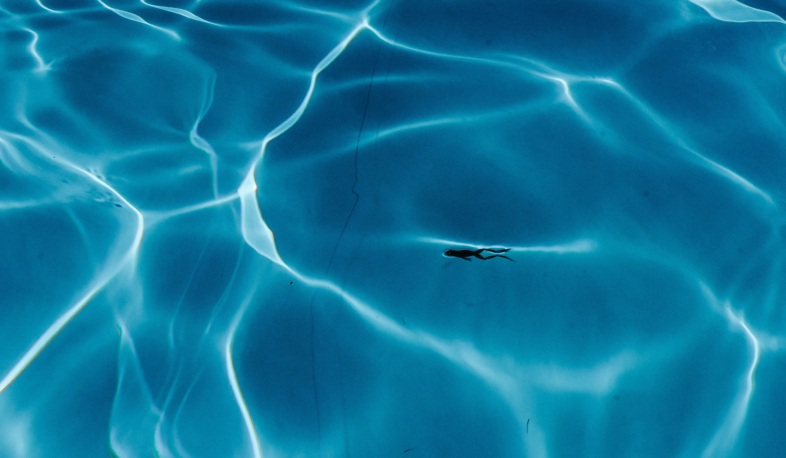 Лесная Поляна. Свадебный фотограф в Минске Вадим Бурчик