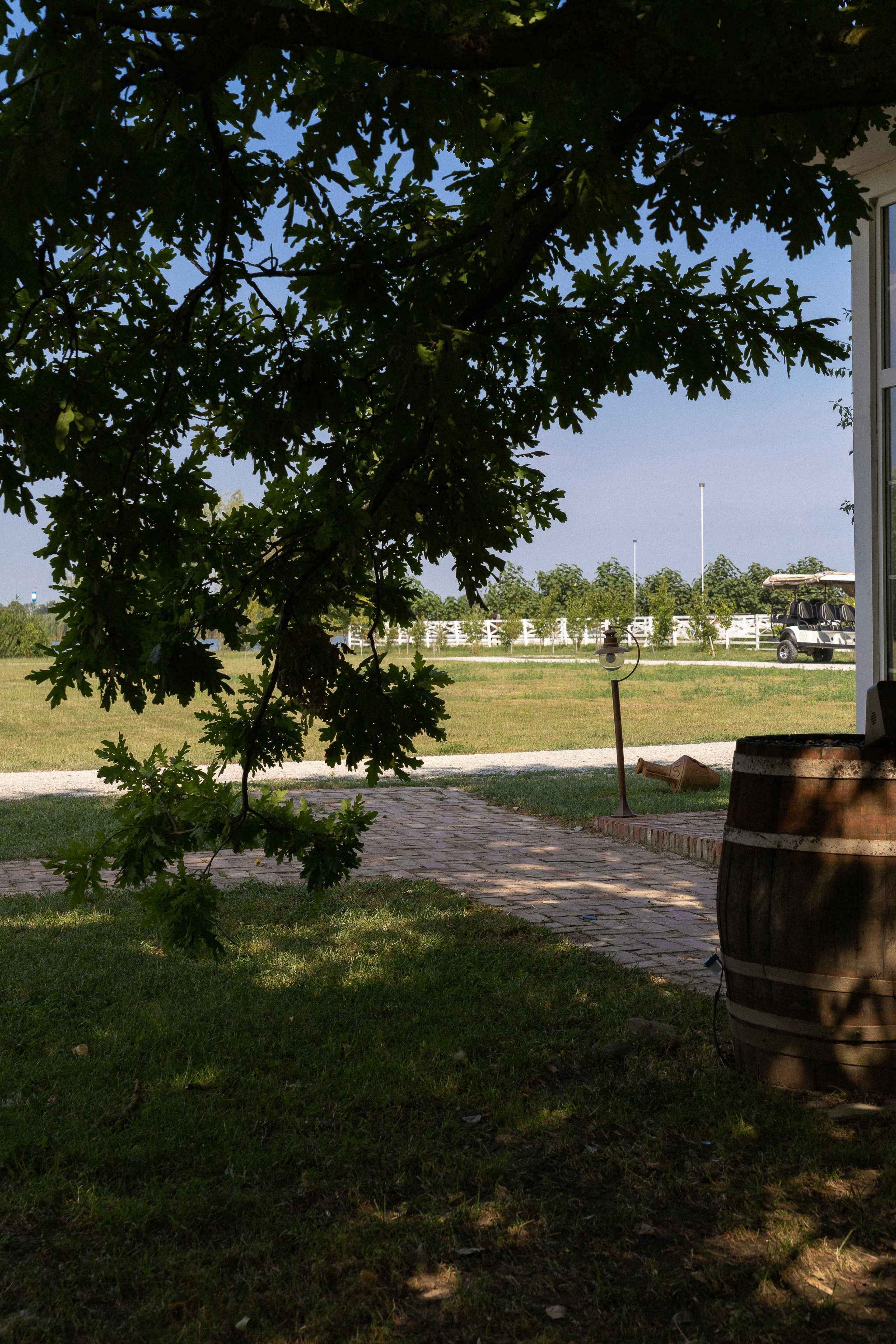 Владислав и Наталья. Свадебный фотограф