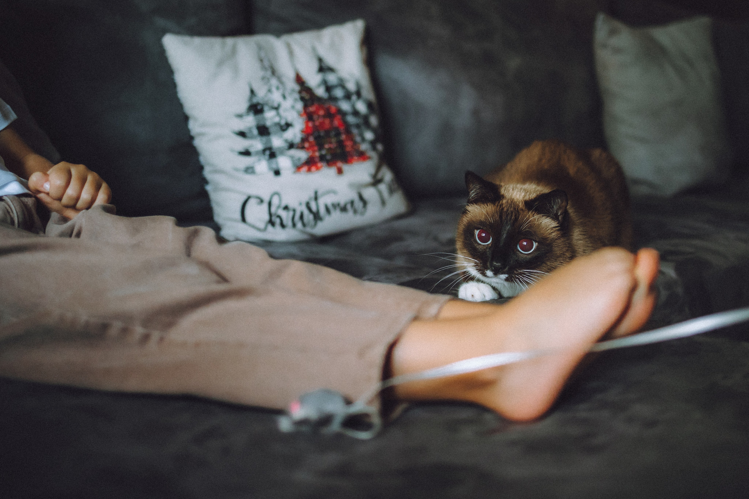 Наташа, Маруся и Зефир