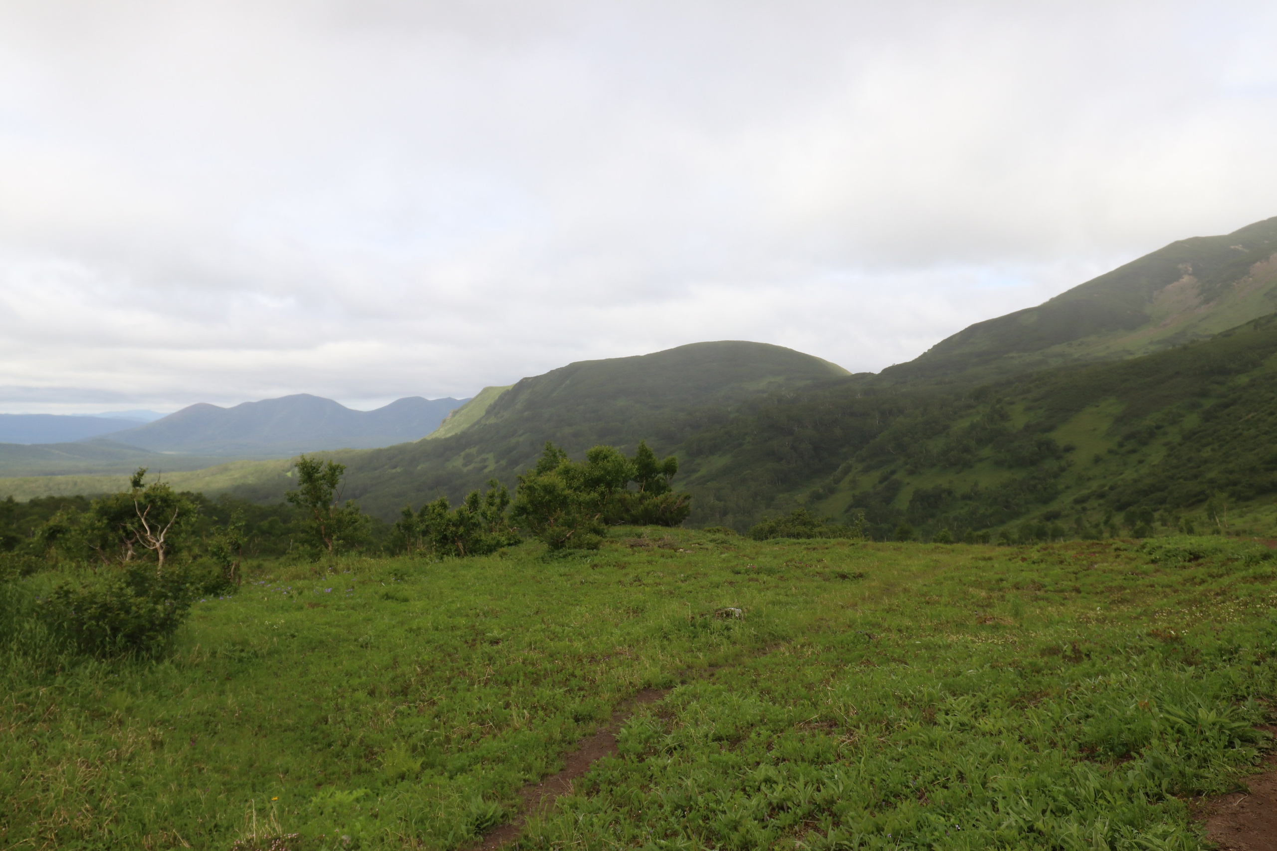 Камчатка и о. Парамушир. Июль 2024. Путешественник-фотограф из Санкт-Петербурга Татьяна Свистулина