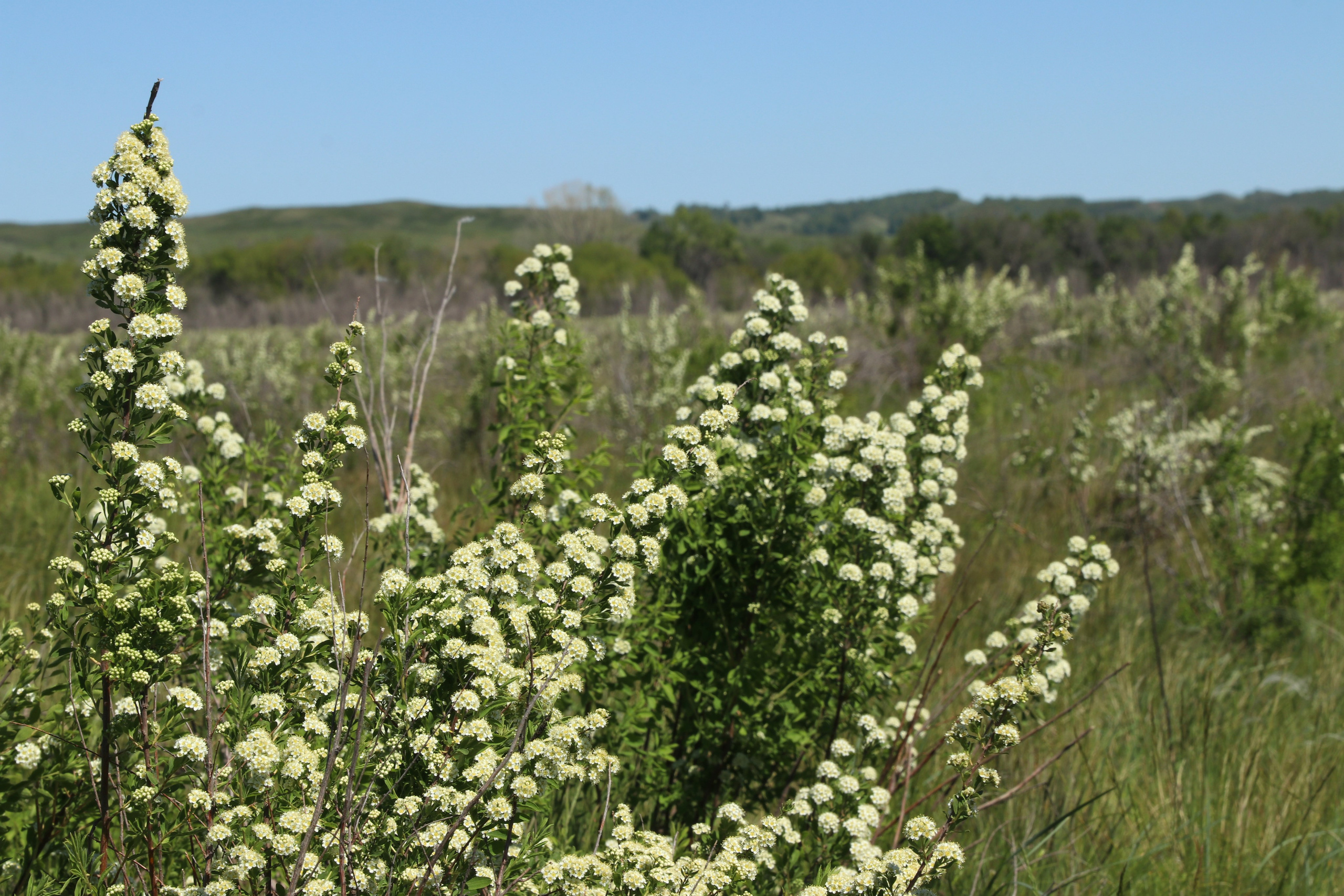 Велопоход Уфа — Мелеуз. Май 2024. Путешественник-фотограф из Санкт-Петербурга Татьяна Свистулина