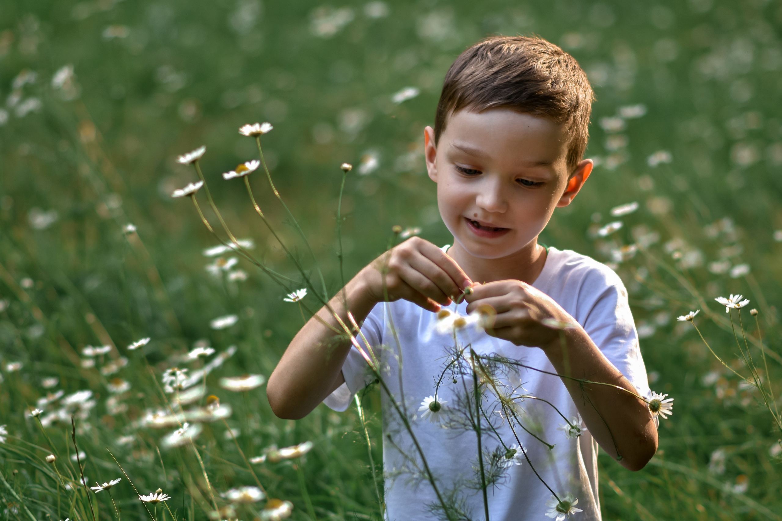 Семейные съемки. Семейный фотограф в Красногорске и Лобне — Мария Бесштанькина | Семейные фотосессии