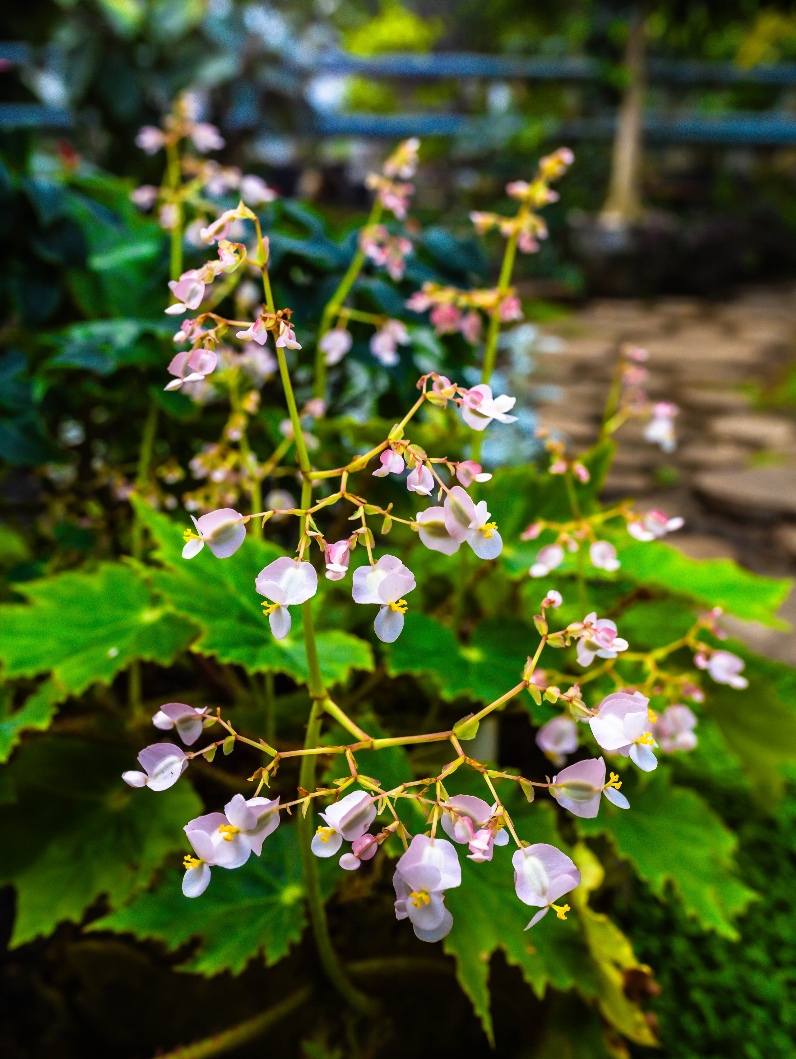 Фотографии природы Липецка. Свадебный и семейный фотограф Виолетта в Липецке